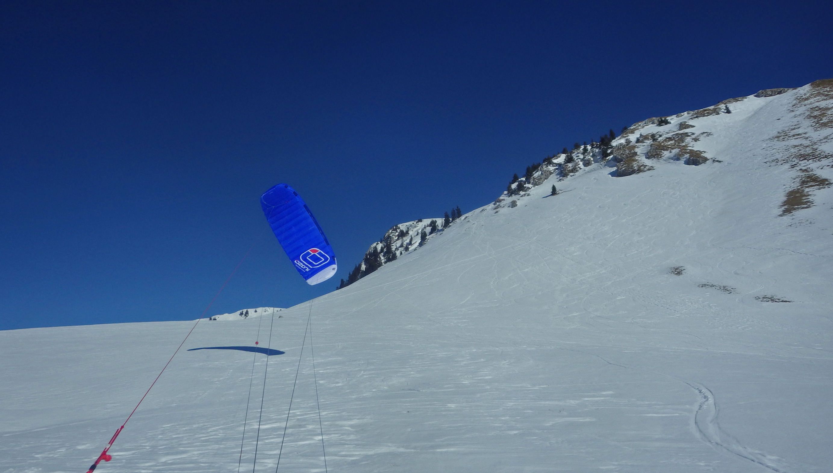 Summit_chartreuse.jpg