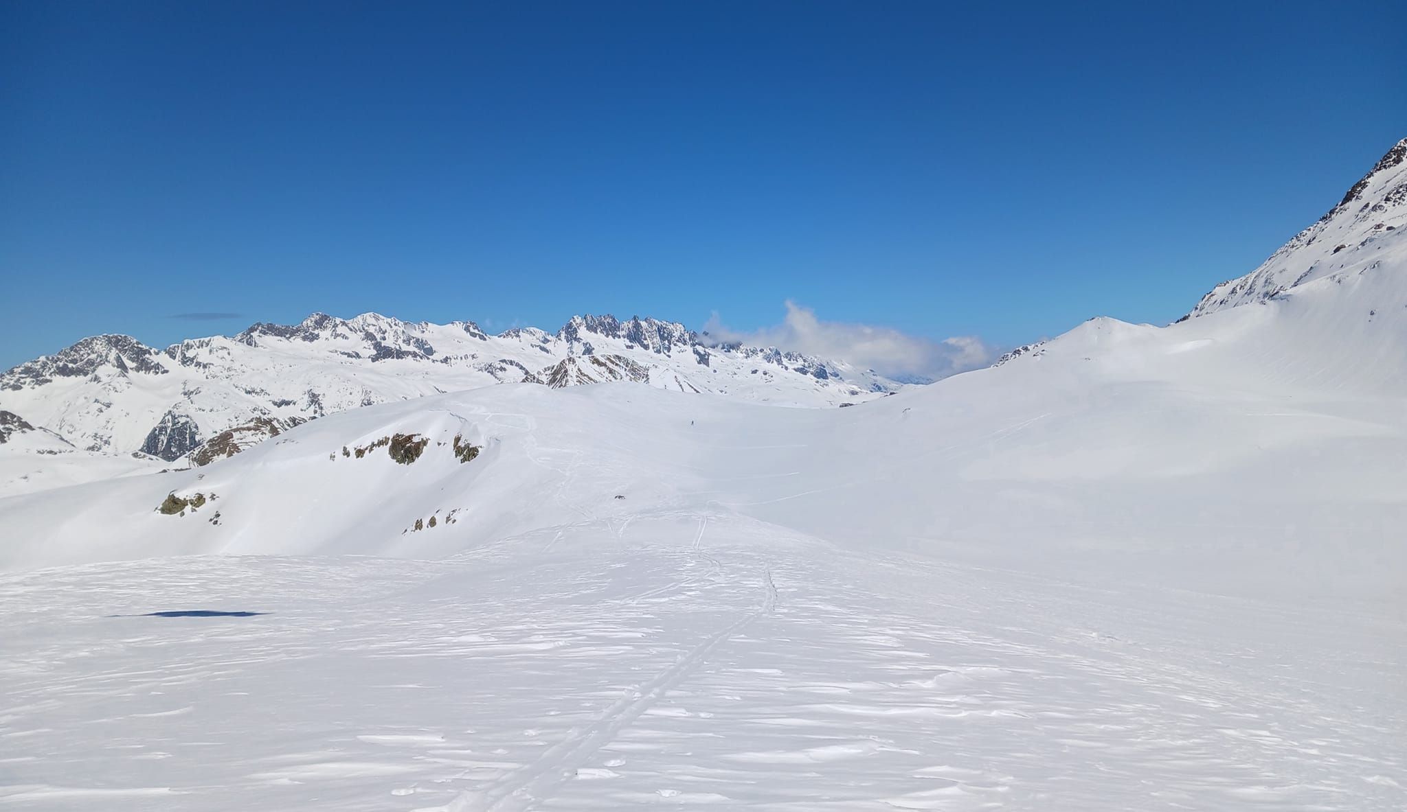339651389_752708769626572_8535835020973695583_n.jpg