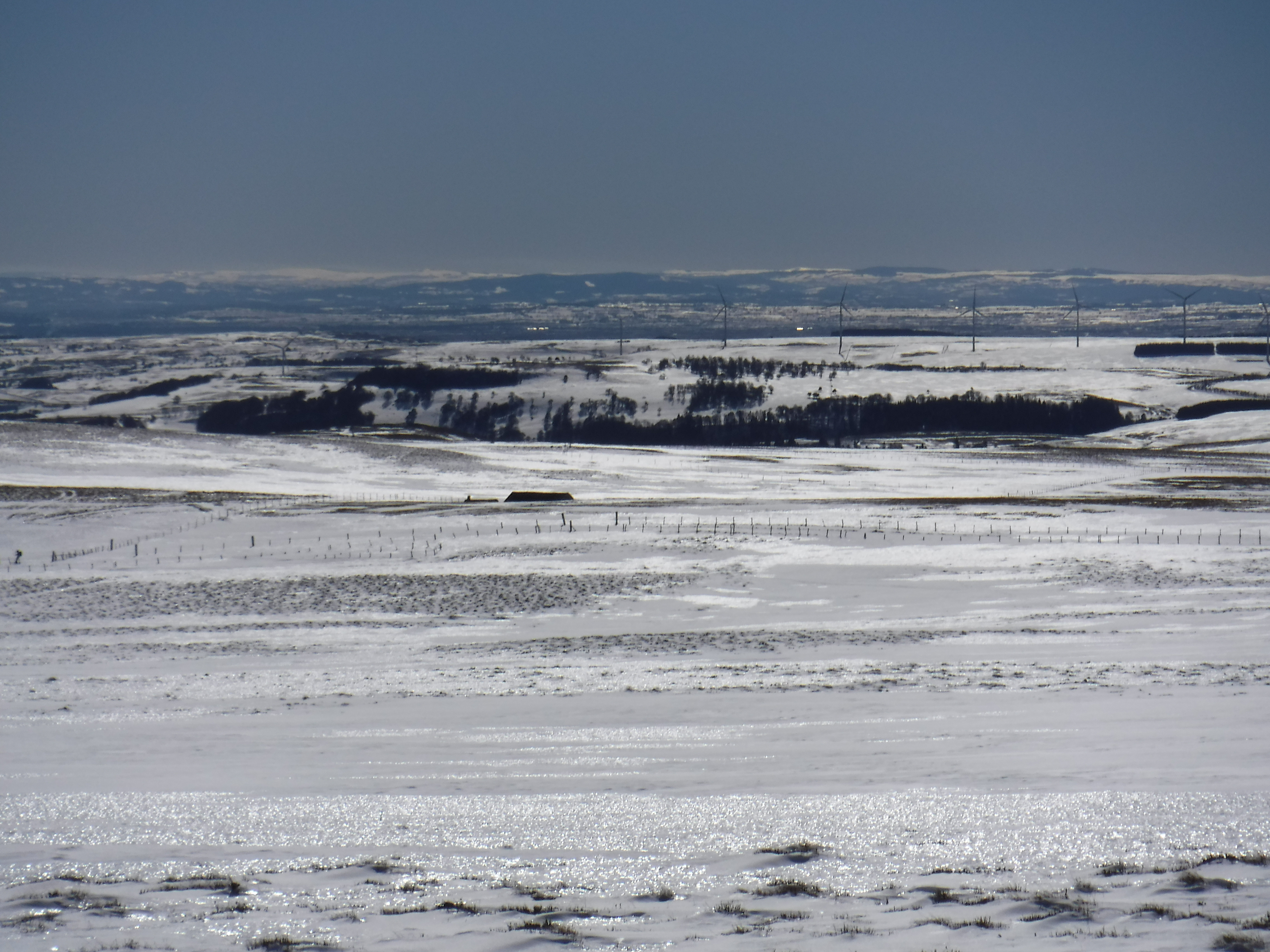 DSCF3338.JPG