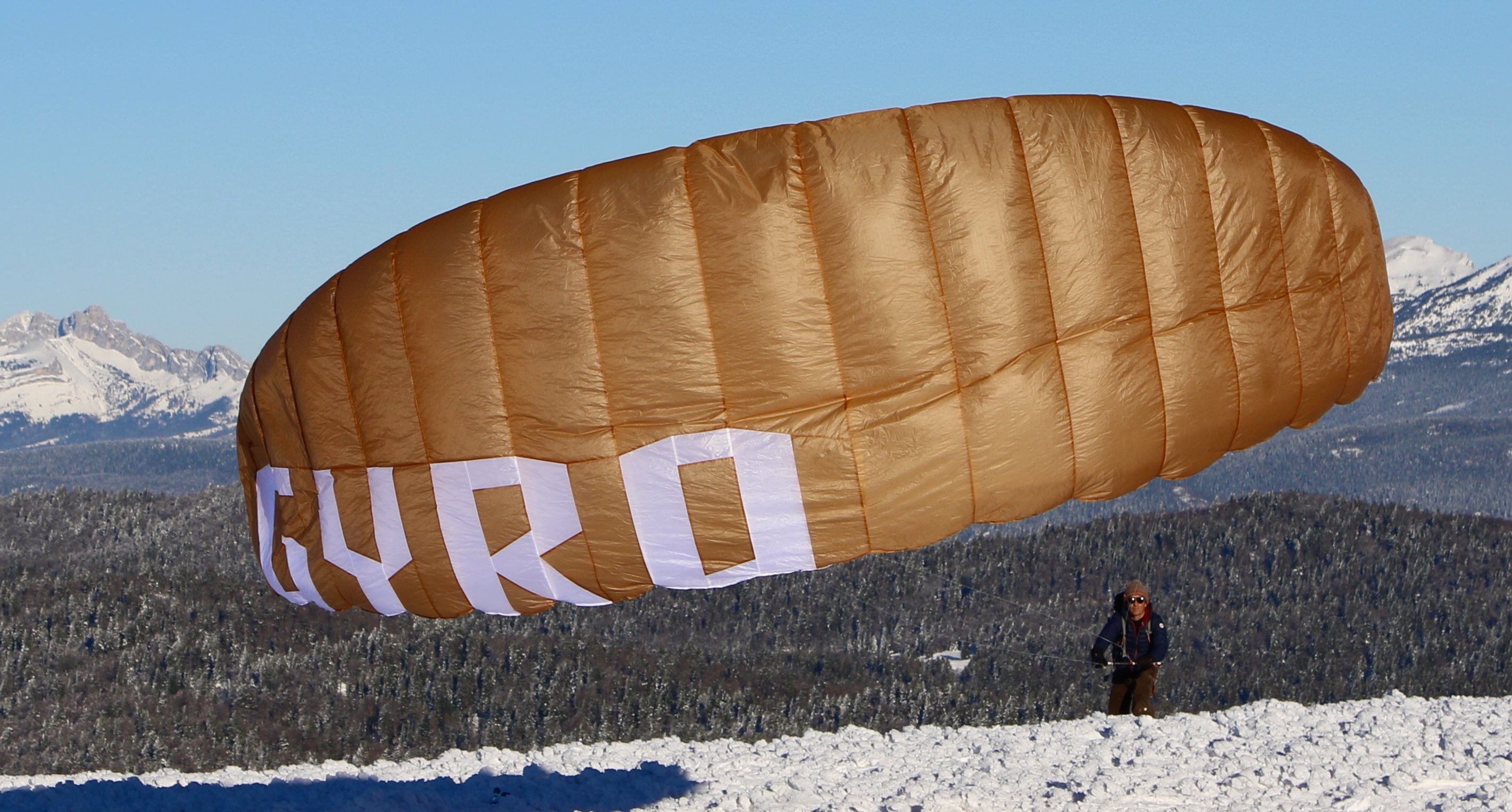 2_1512626180179_gyro LW posé arrières.jpg