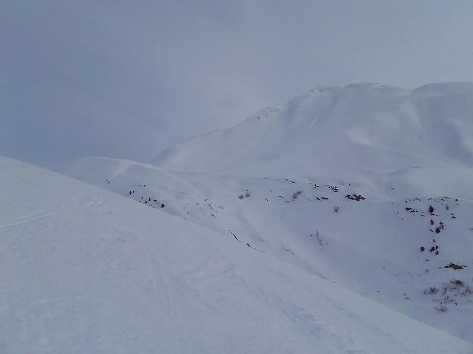 aiguillette sabot.jpg