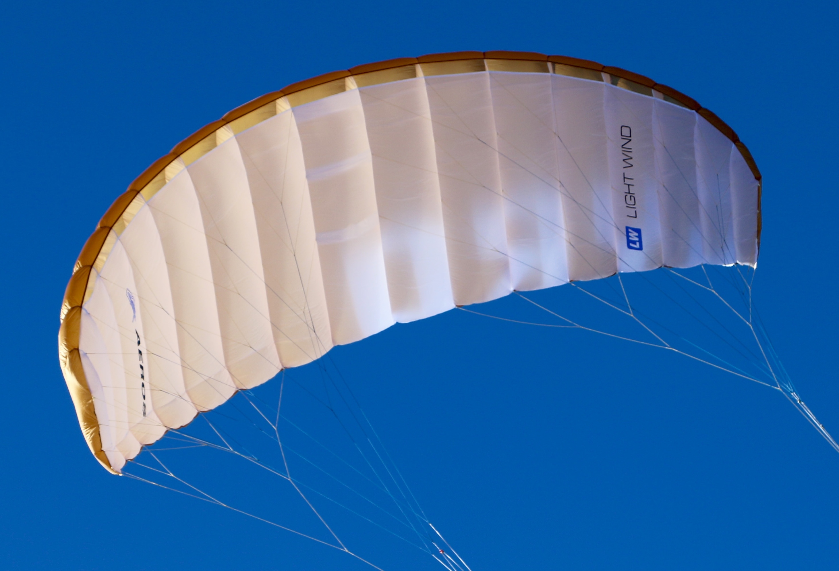 1_1512626180179_gyro LW intrados.jpg