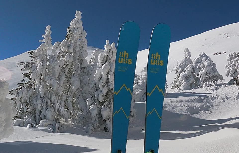 shuss ski fu.jpg