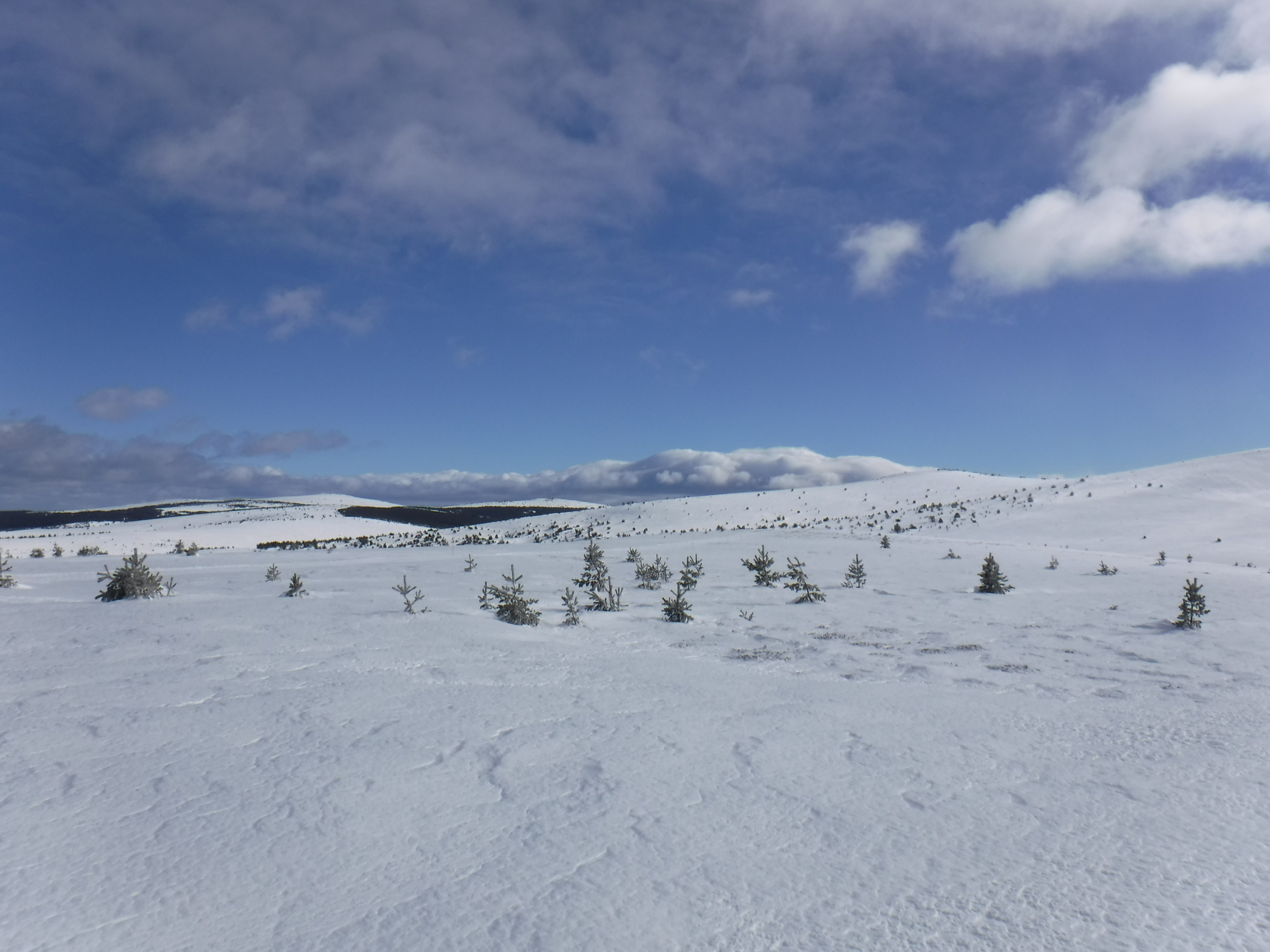 DSCF3175.JPG