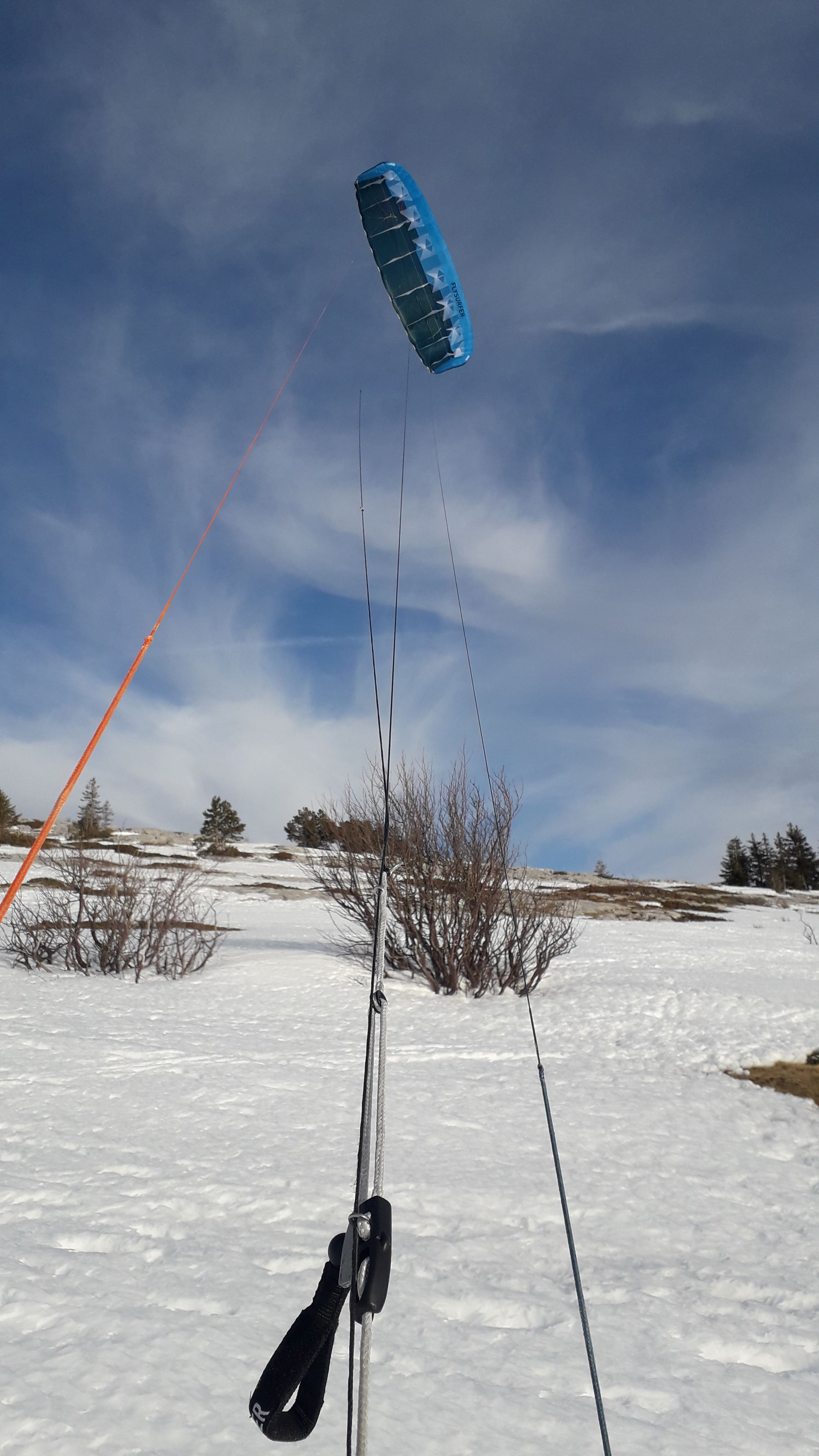 20220310_171716.jpg