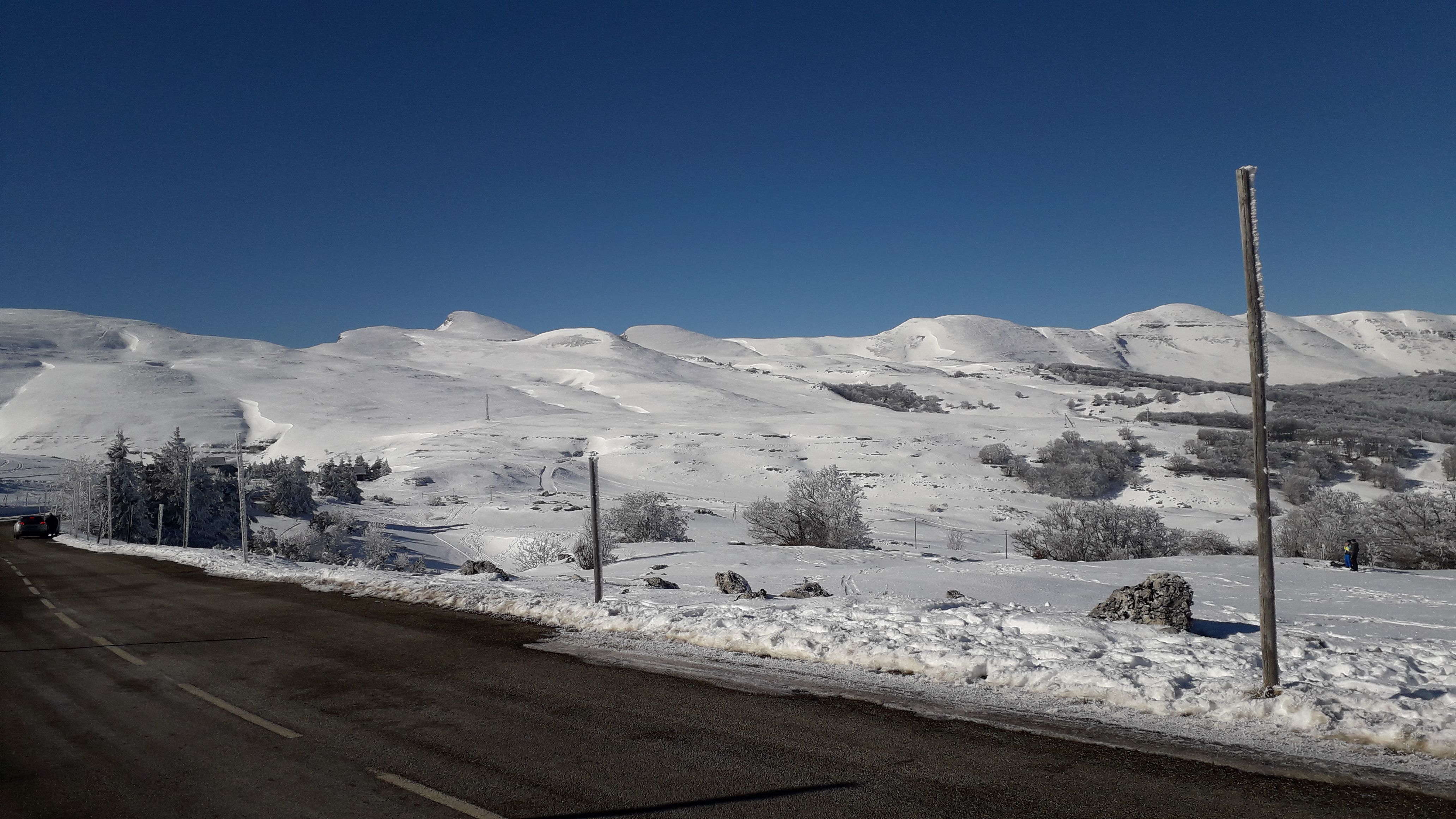 20220122_123103.jpg
