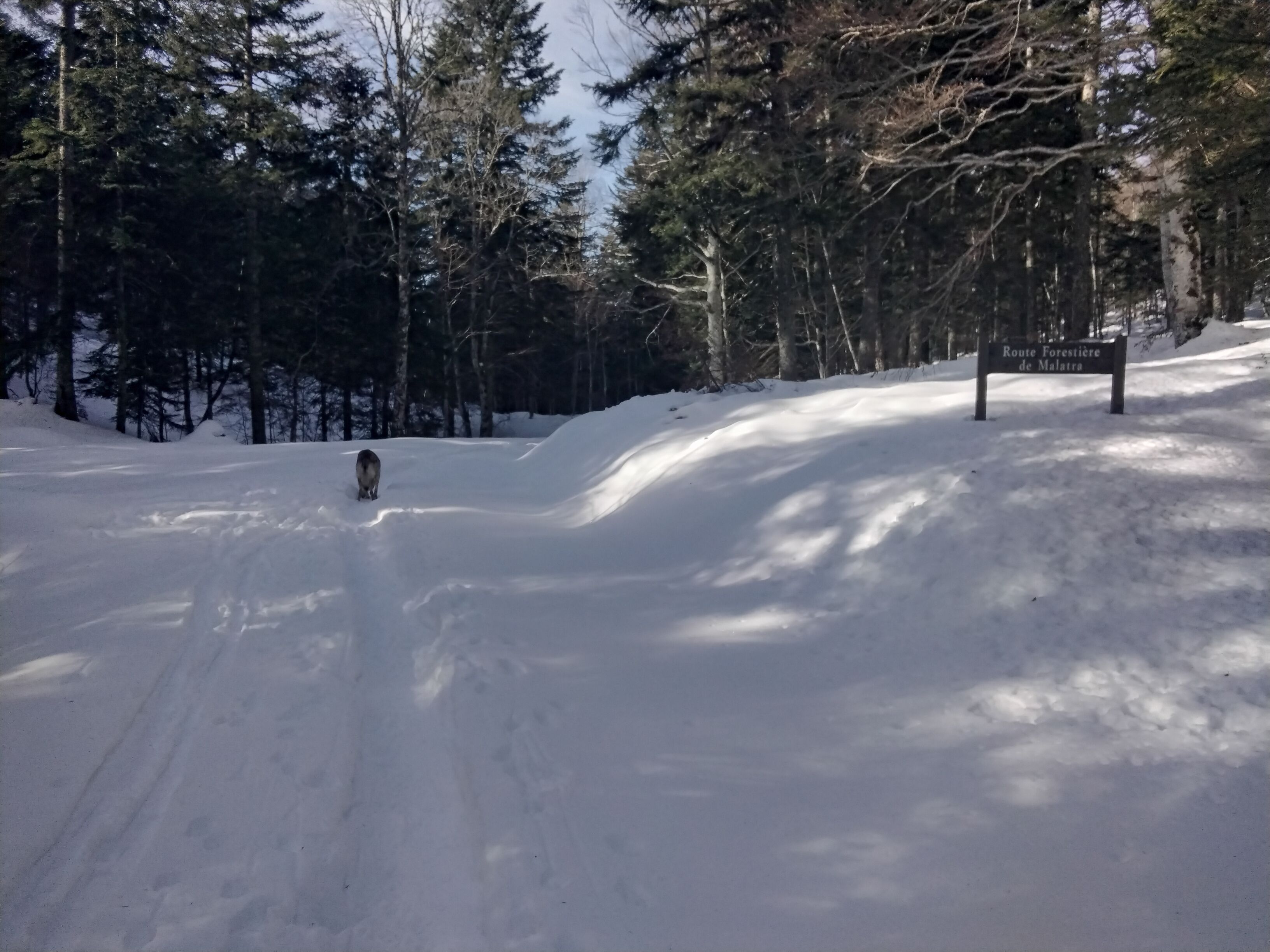 IMG_20211215_115003.jpg