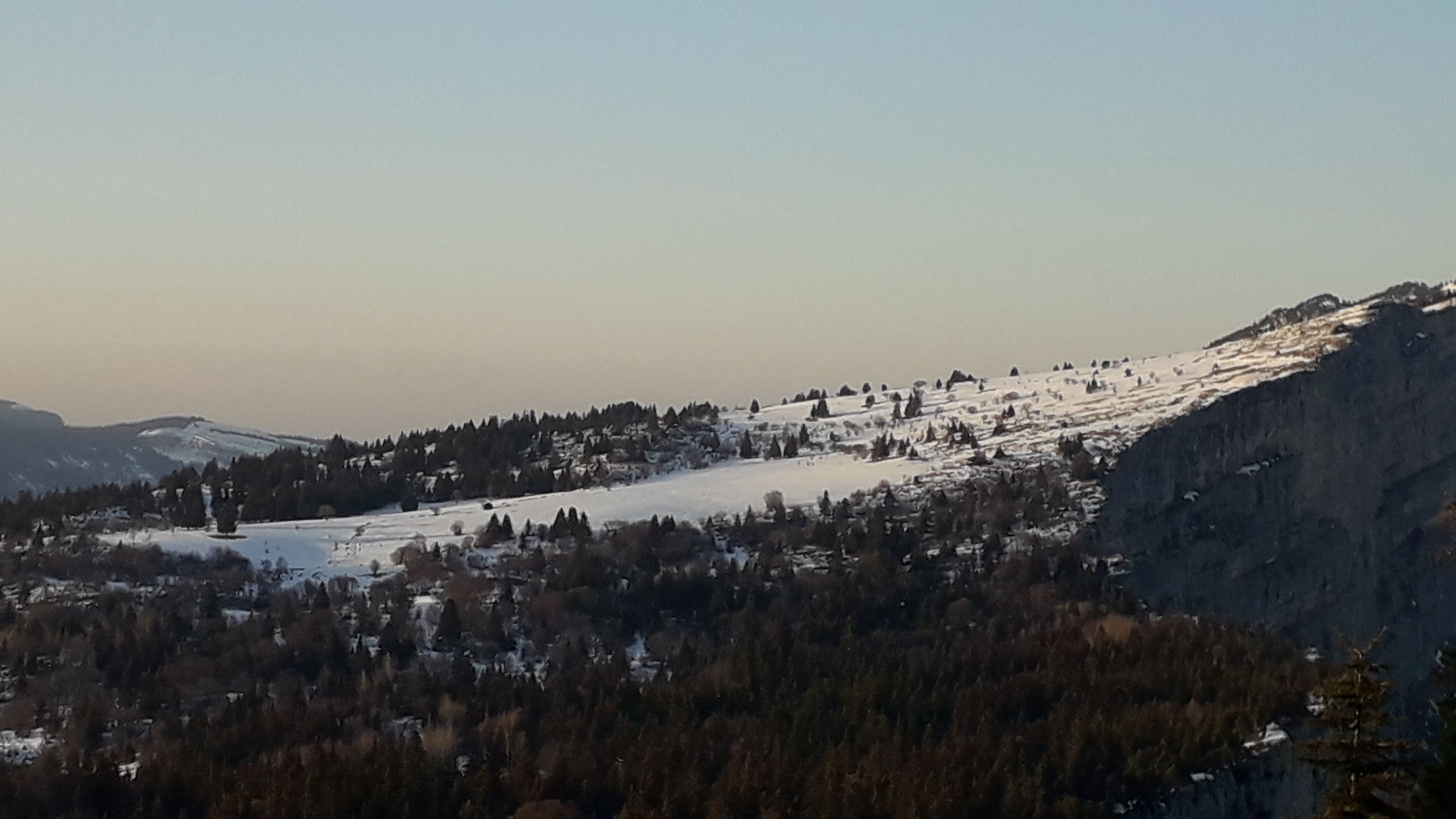 20210325_182631.jpg