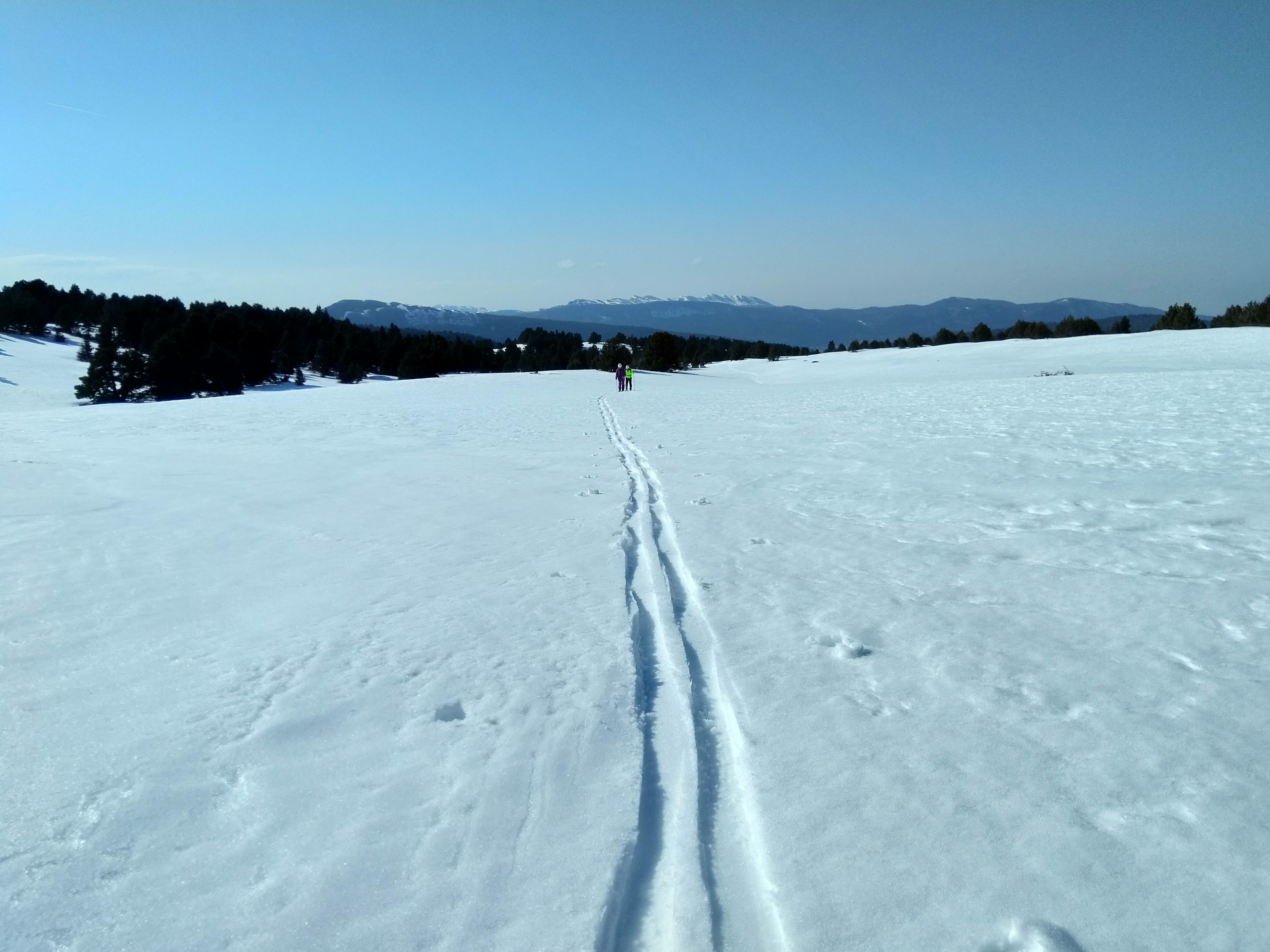 IMG_20210325_155918.jpg