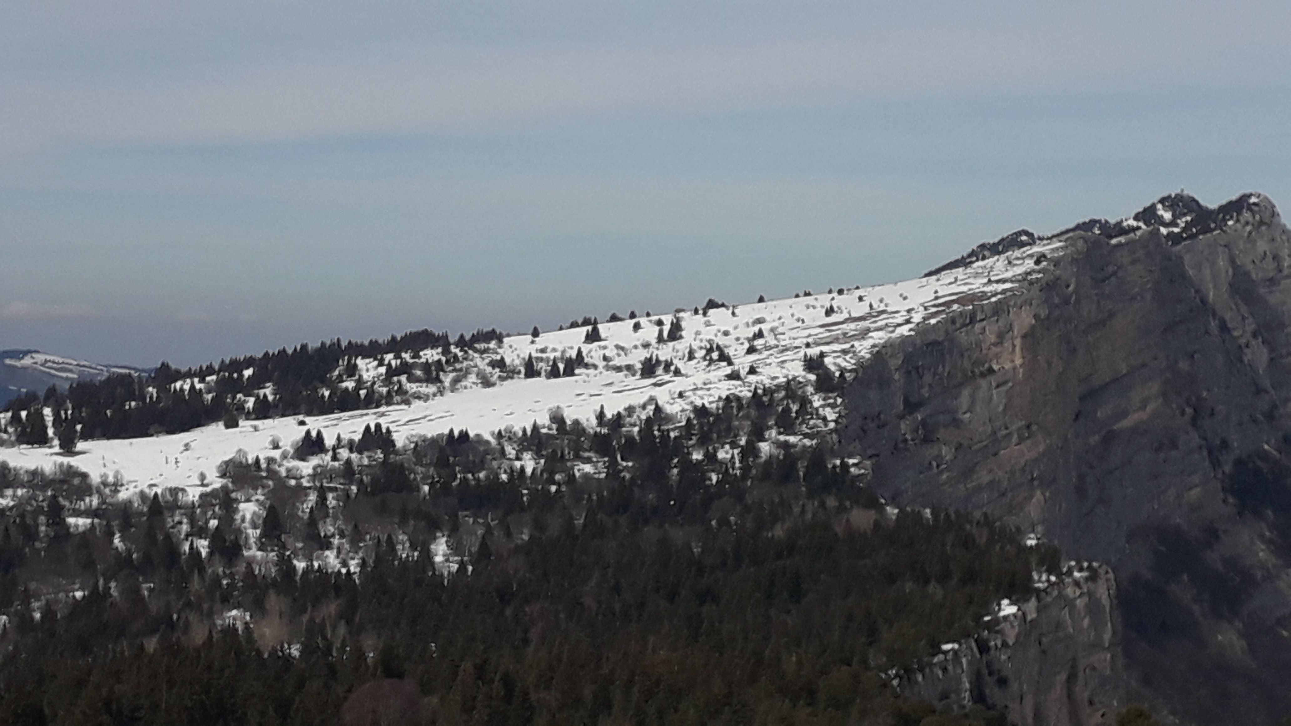 20220310_150757.jpg