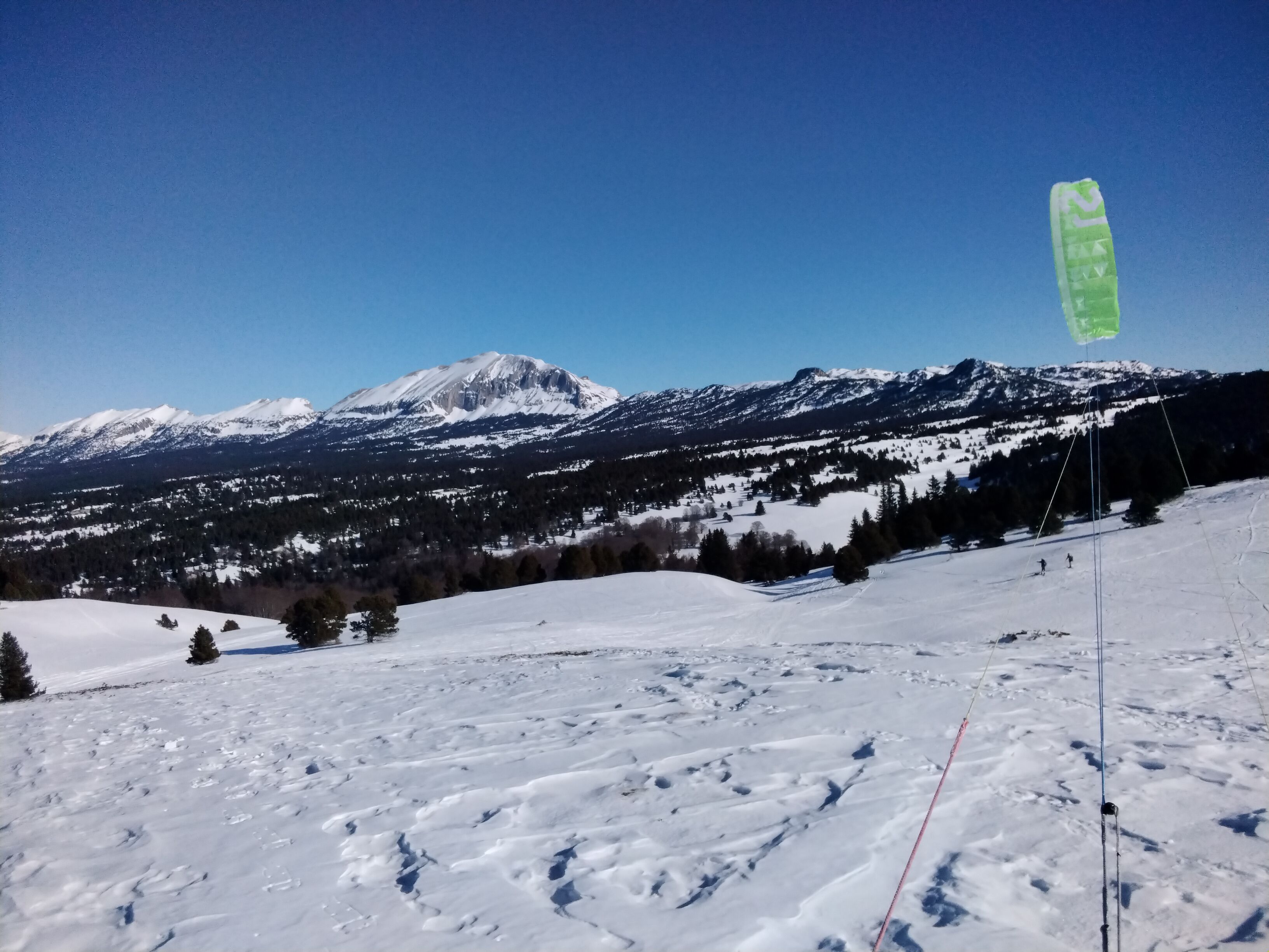IMG_20220125_125730.jpg