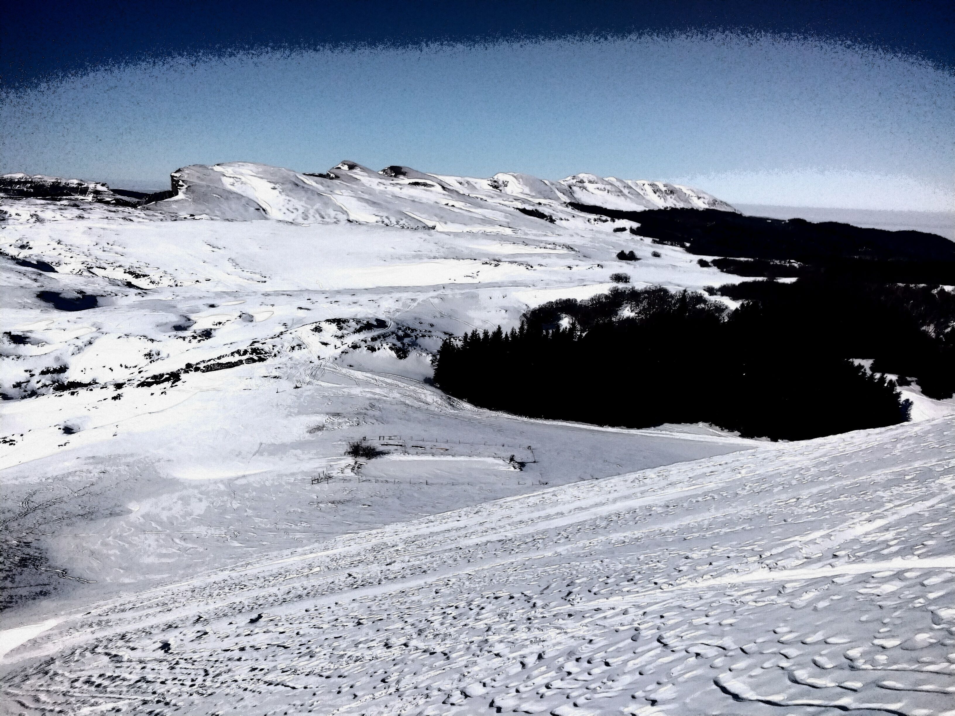 IMG_20220118_115234.jpg