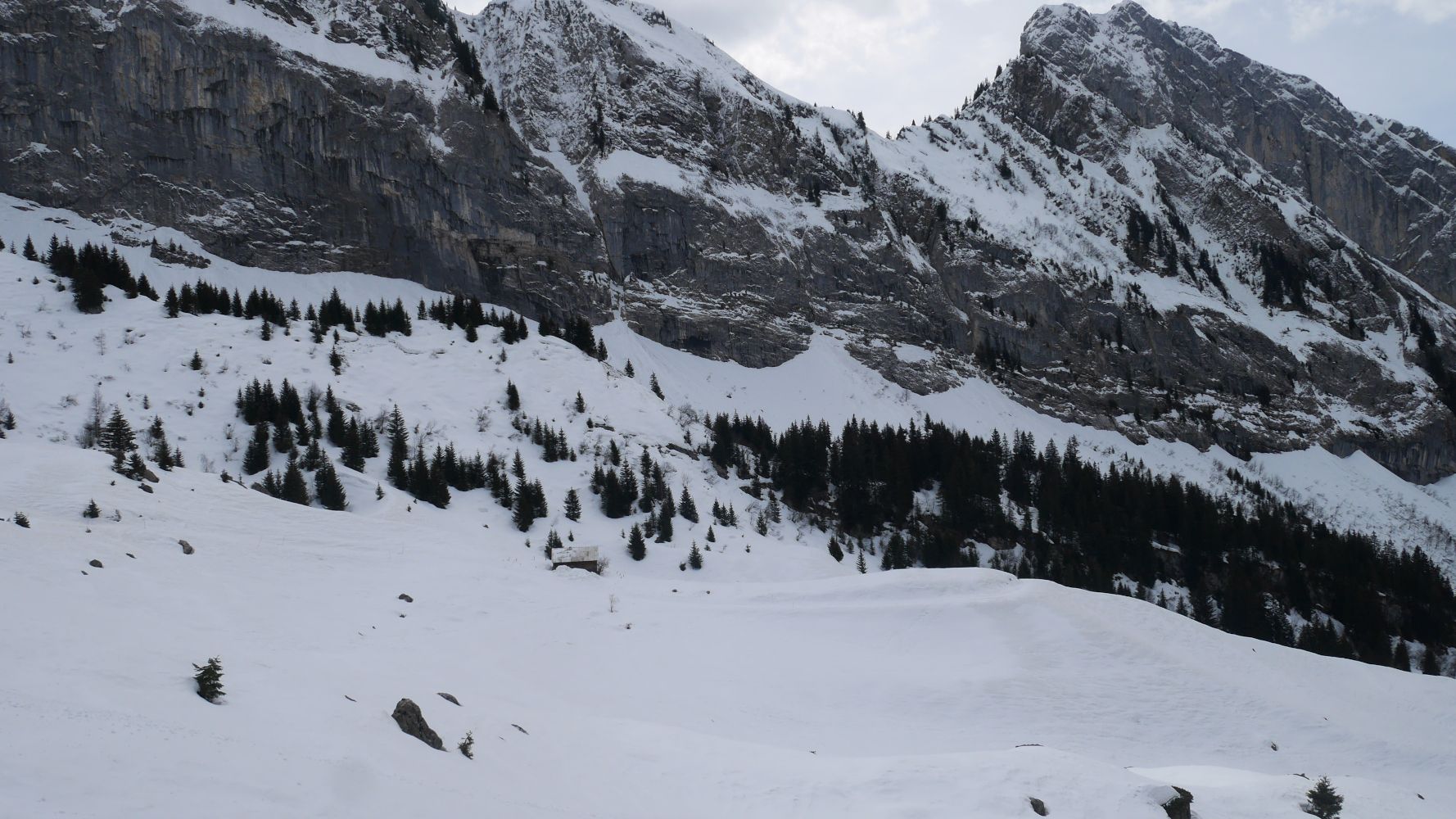 P1050889.JPG