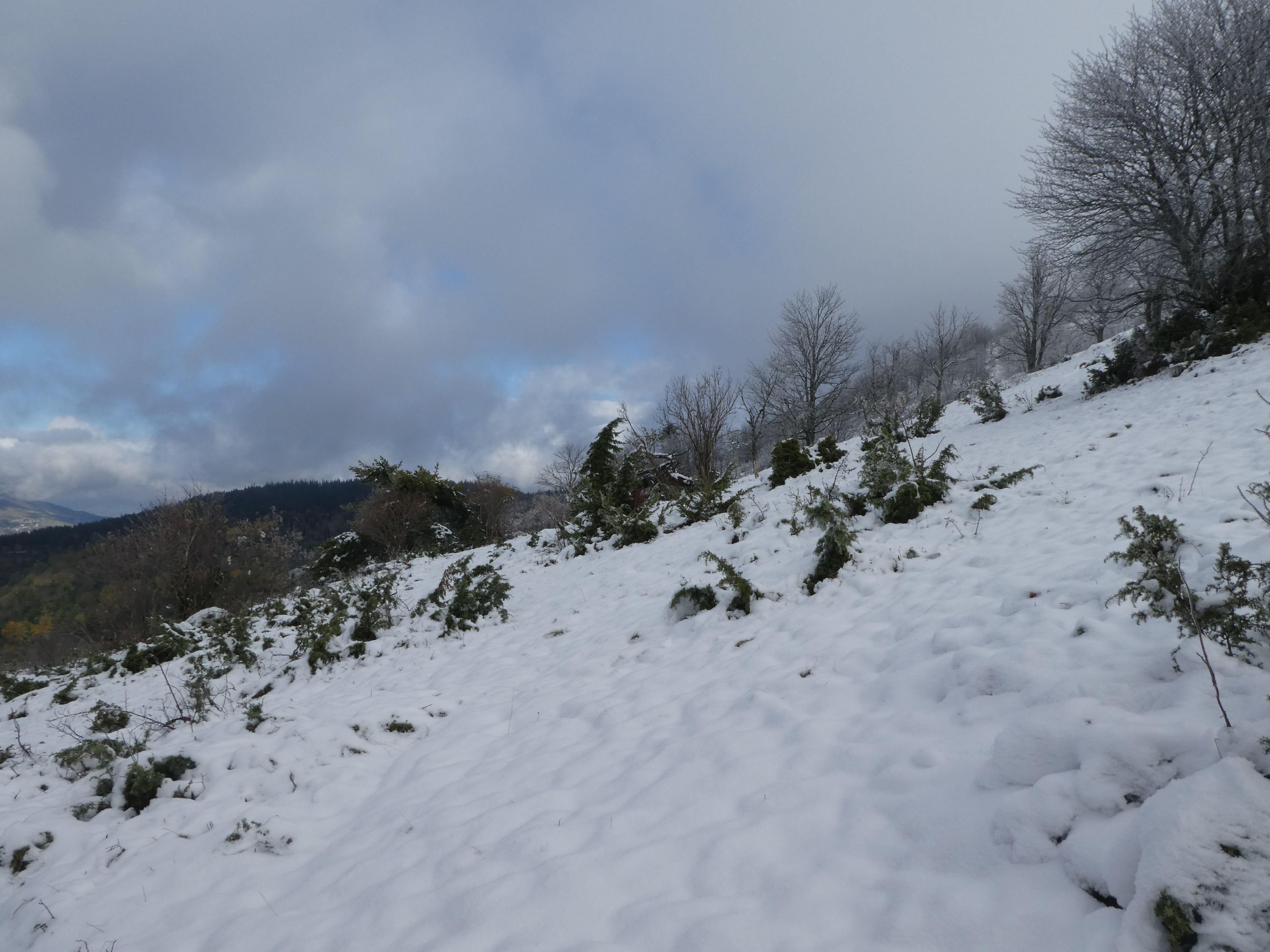 P1100342.JPG
