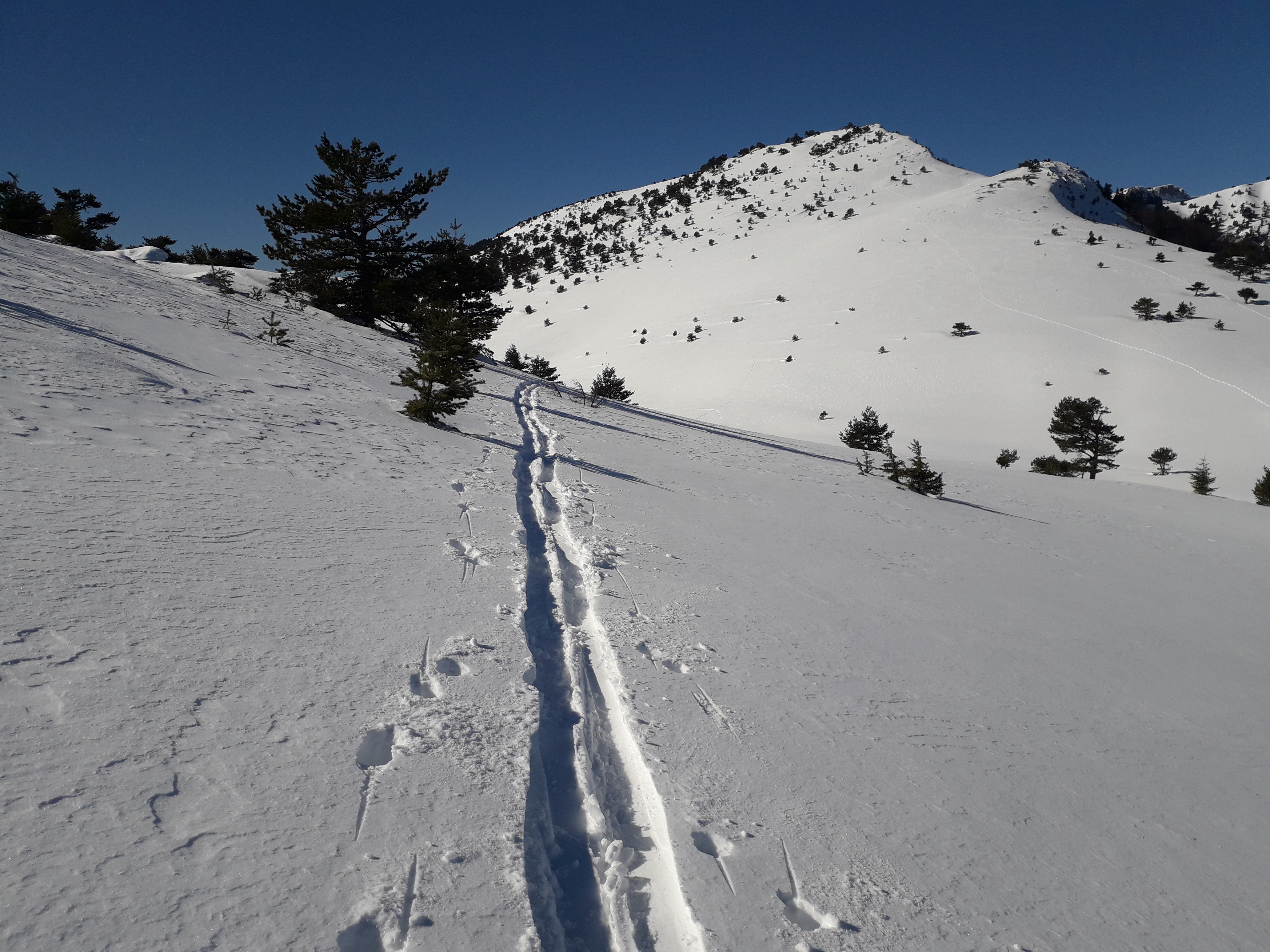 20190214_130528.jpg