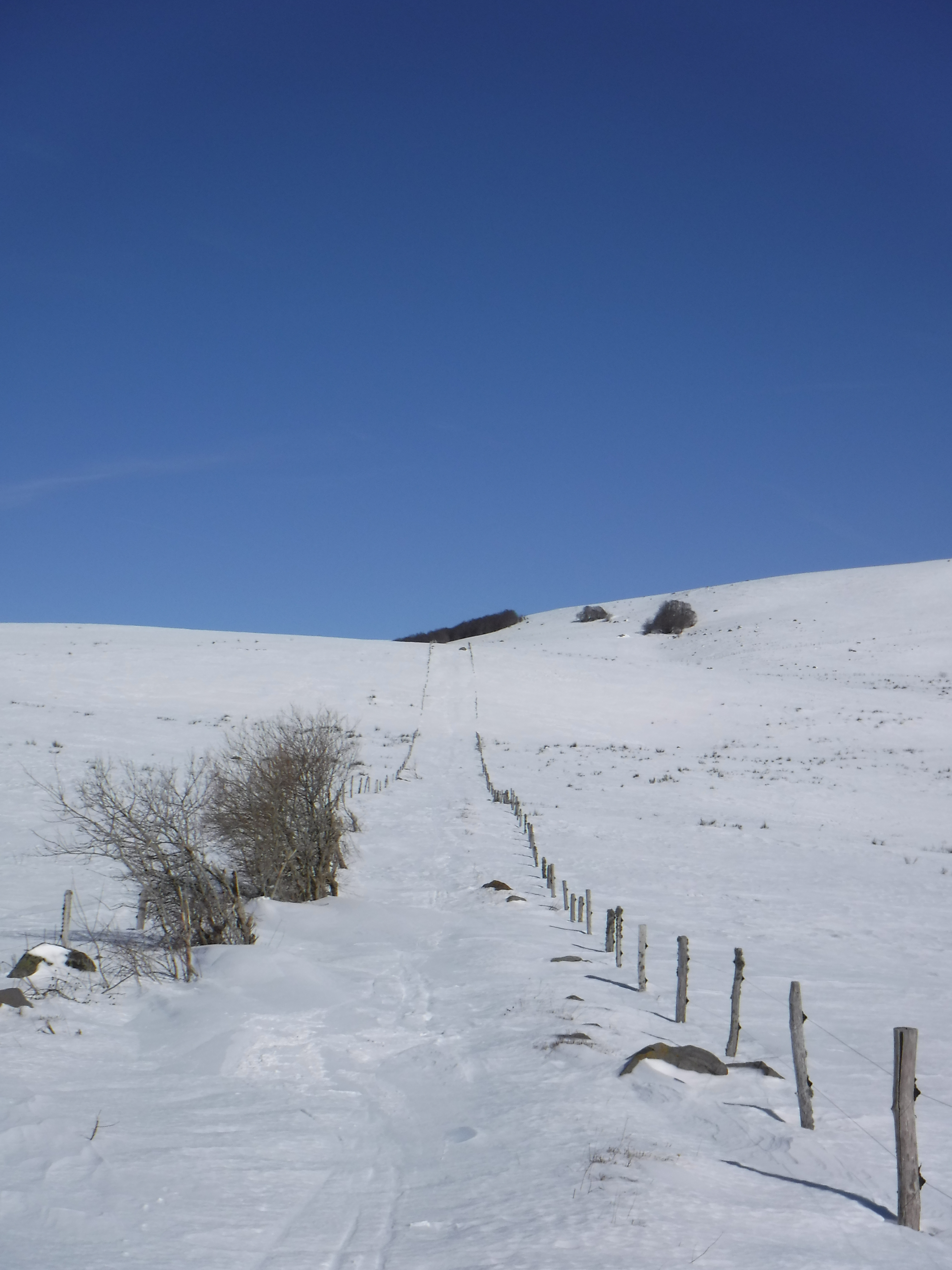 DSCF3286.JPG