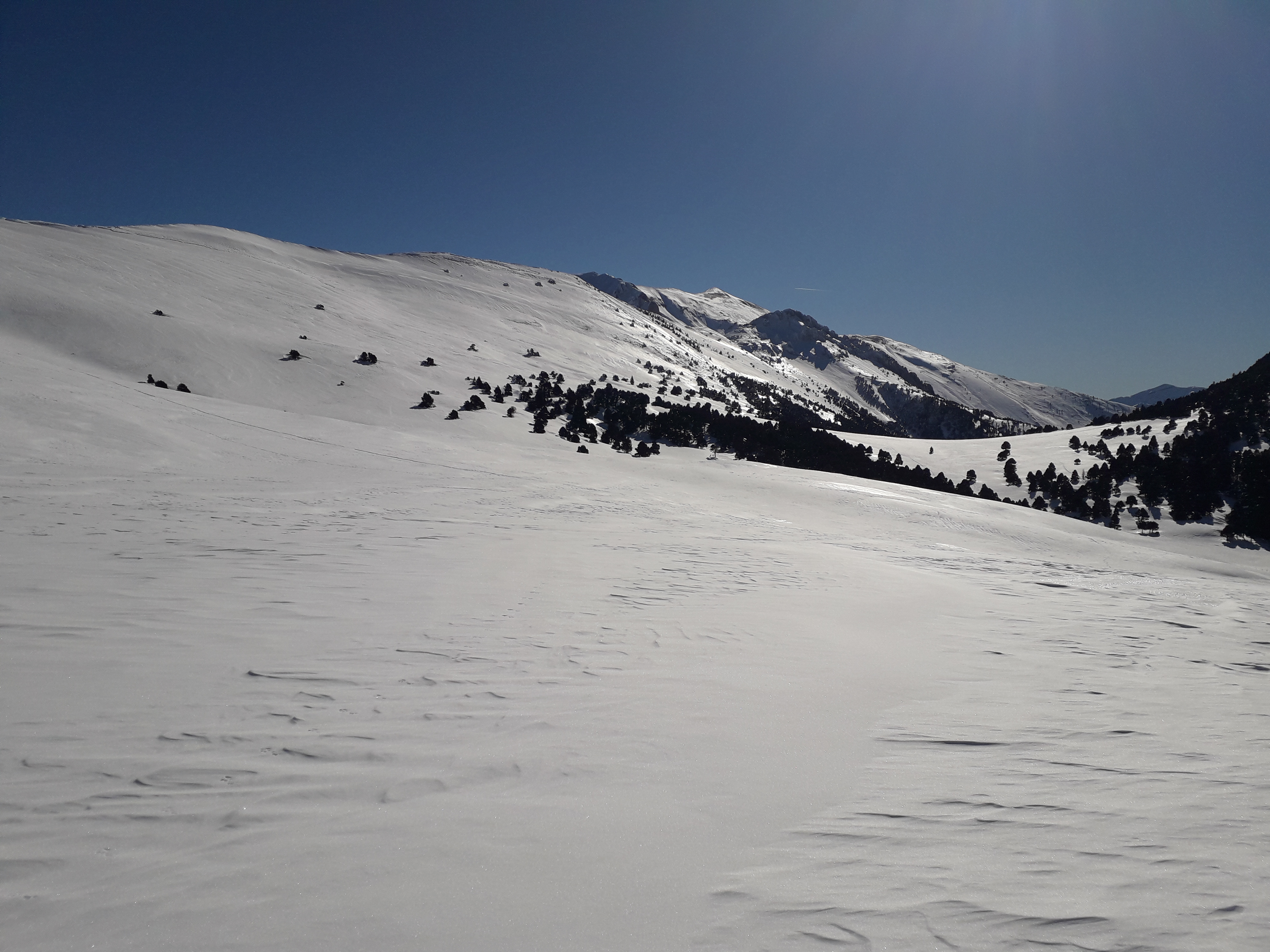 20190214_113732.jpg