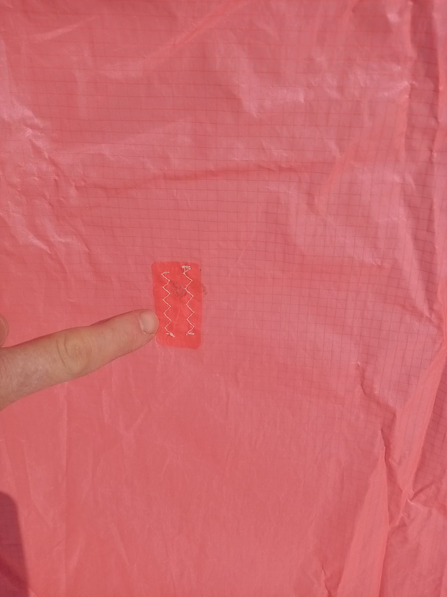 139558535_3696642117079777_8461331765987174601_n.jpg
