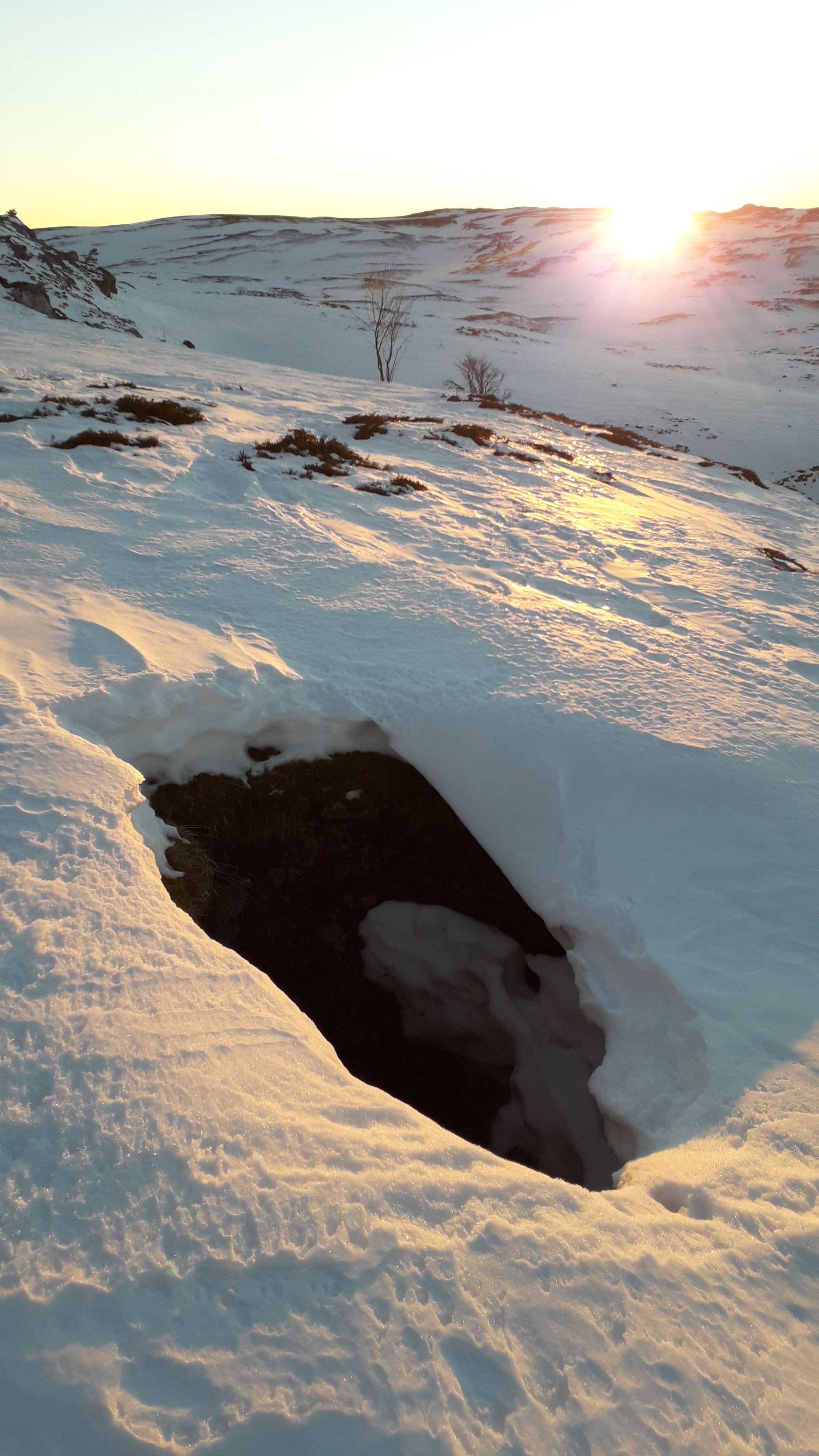 20211218_165153.jpg
