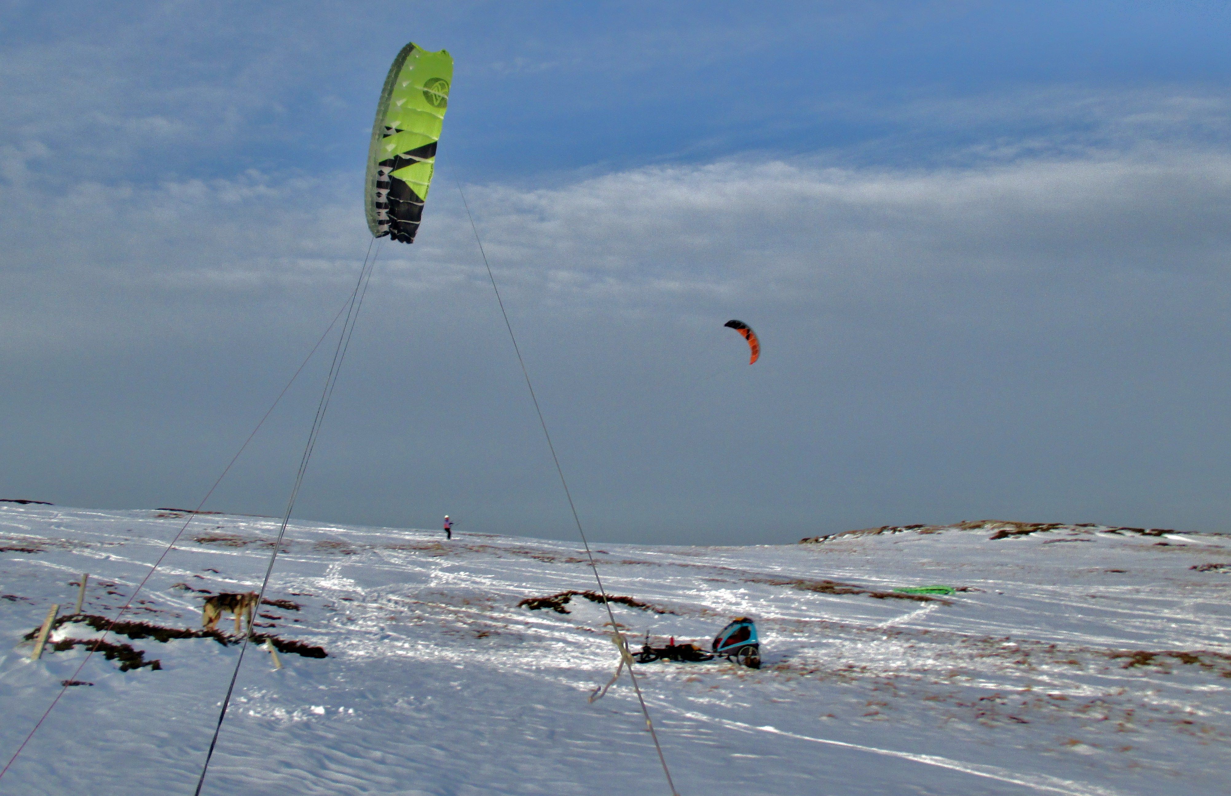 IMG_5265.JPG