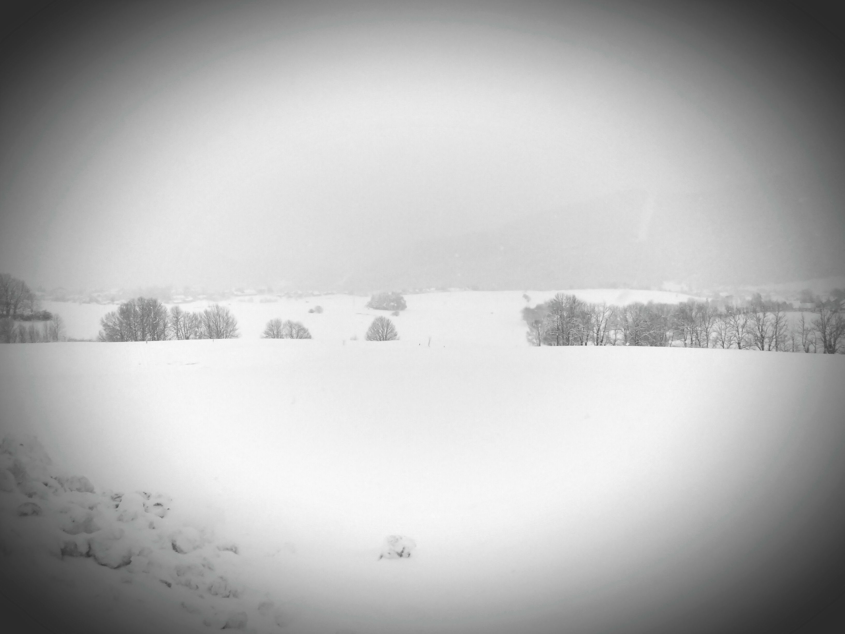 IMG_20211209_110041.jpg