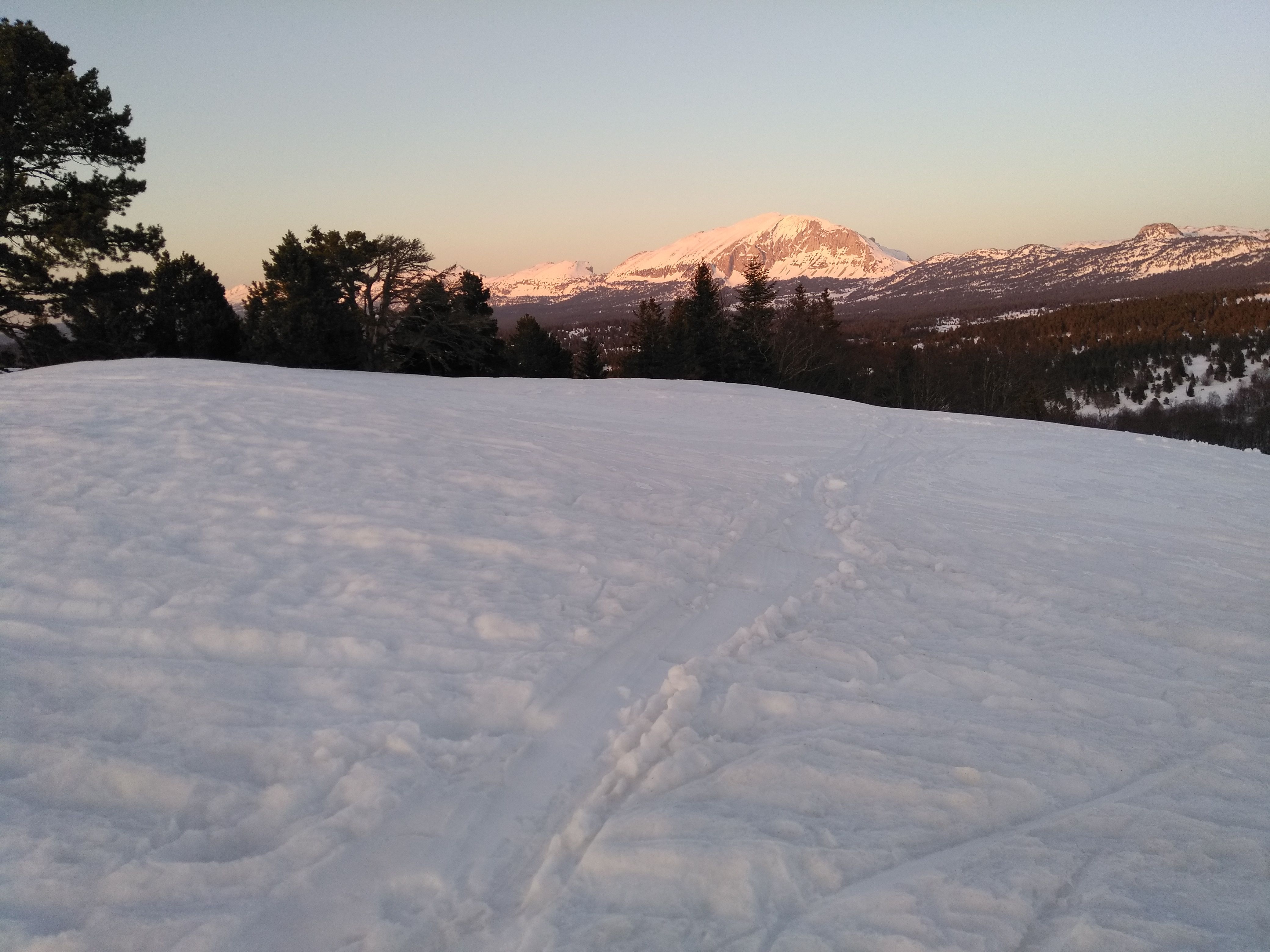 IMG_20210325_184457.jpg