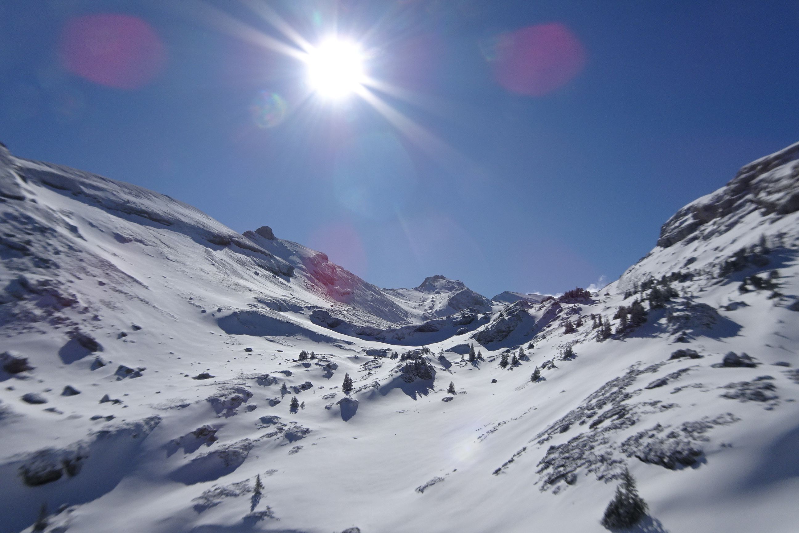 DSC08097.JPG