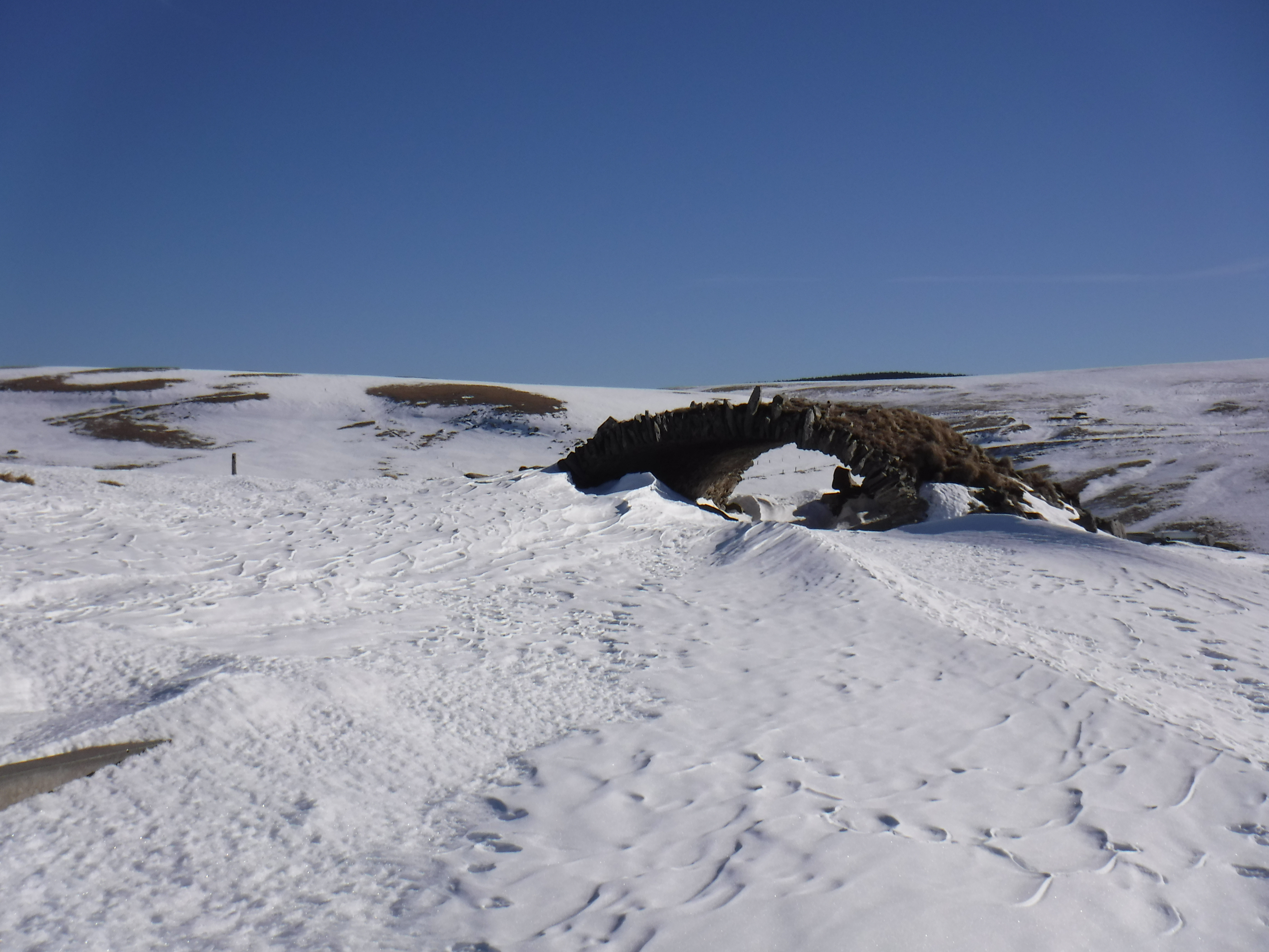 DSCF3378.JPG