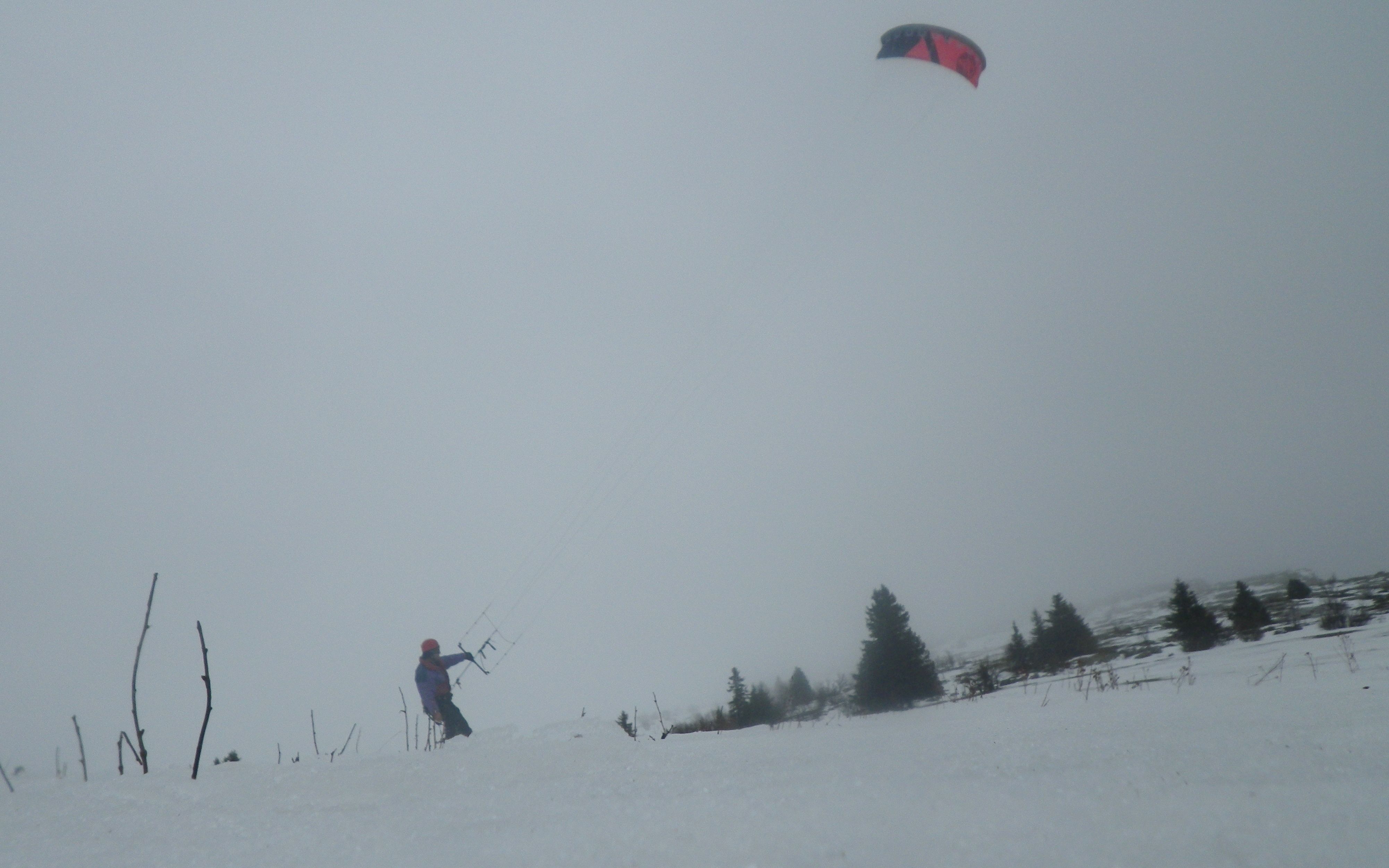 kite_ramees_049w.JPG