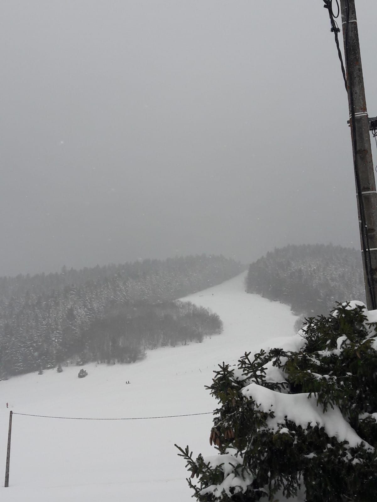 IMG-20220402-WA0014.jpg