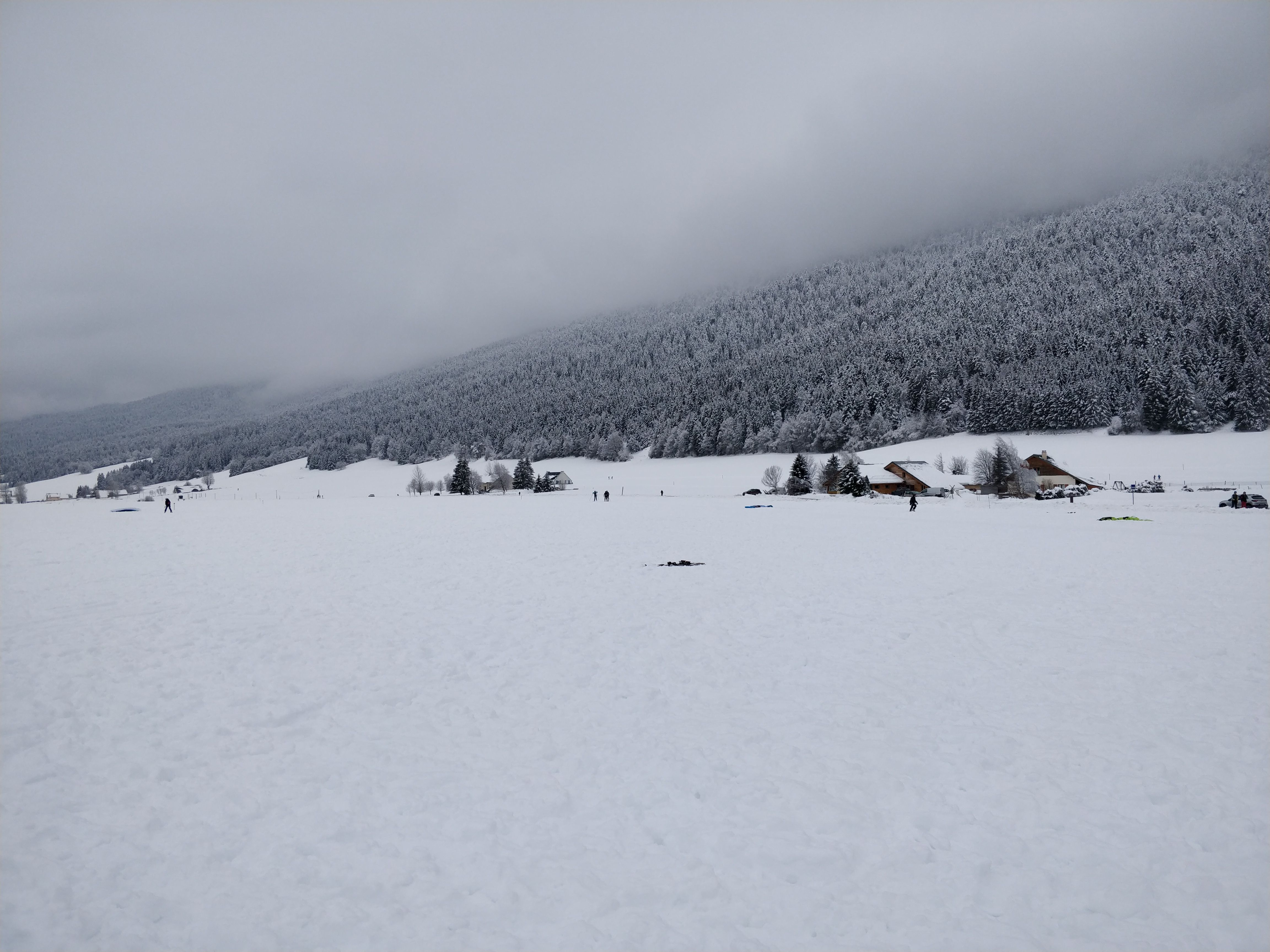 IMG_20210106_122850.jpg