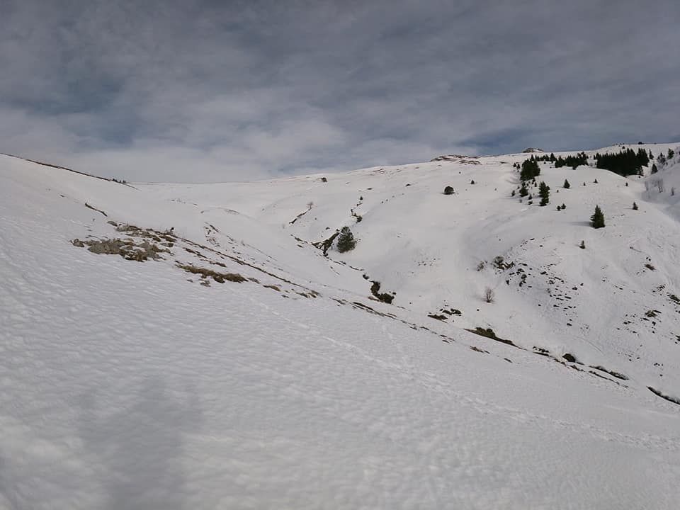 151238989_10220566198808414_7041060971411571618_n.jpg