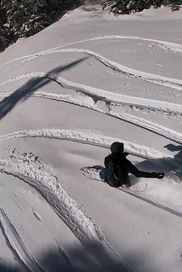 surf pow cerf volant.jpg