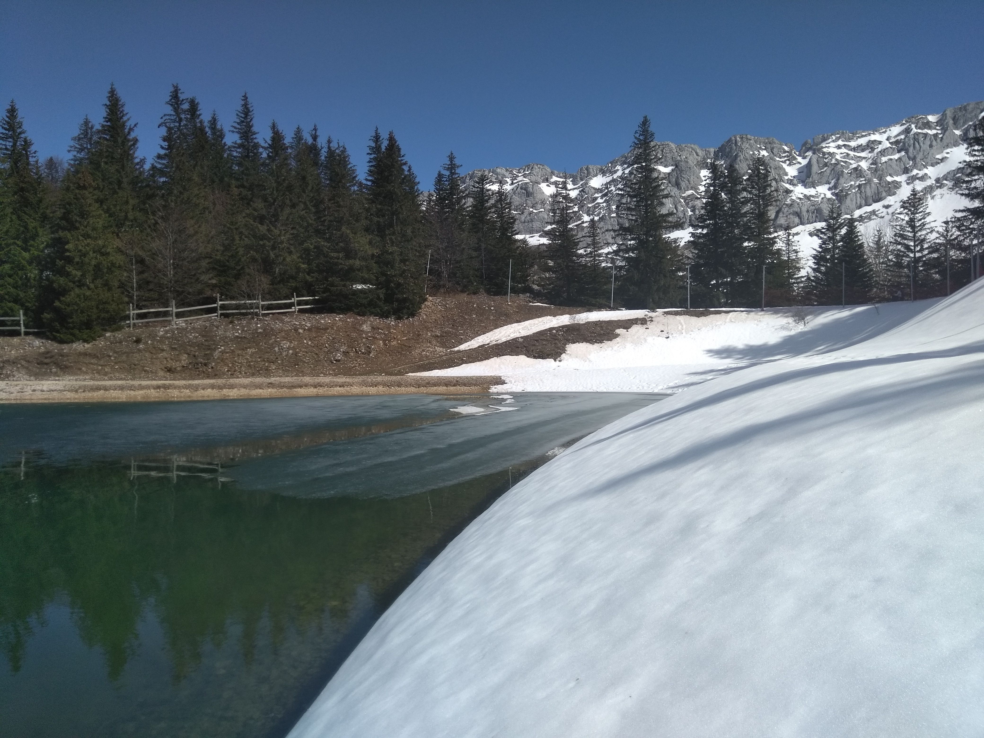 IMG_20210401_150916.jpg