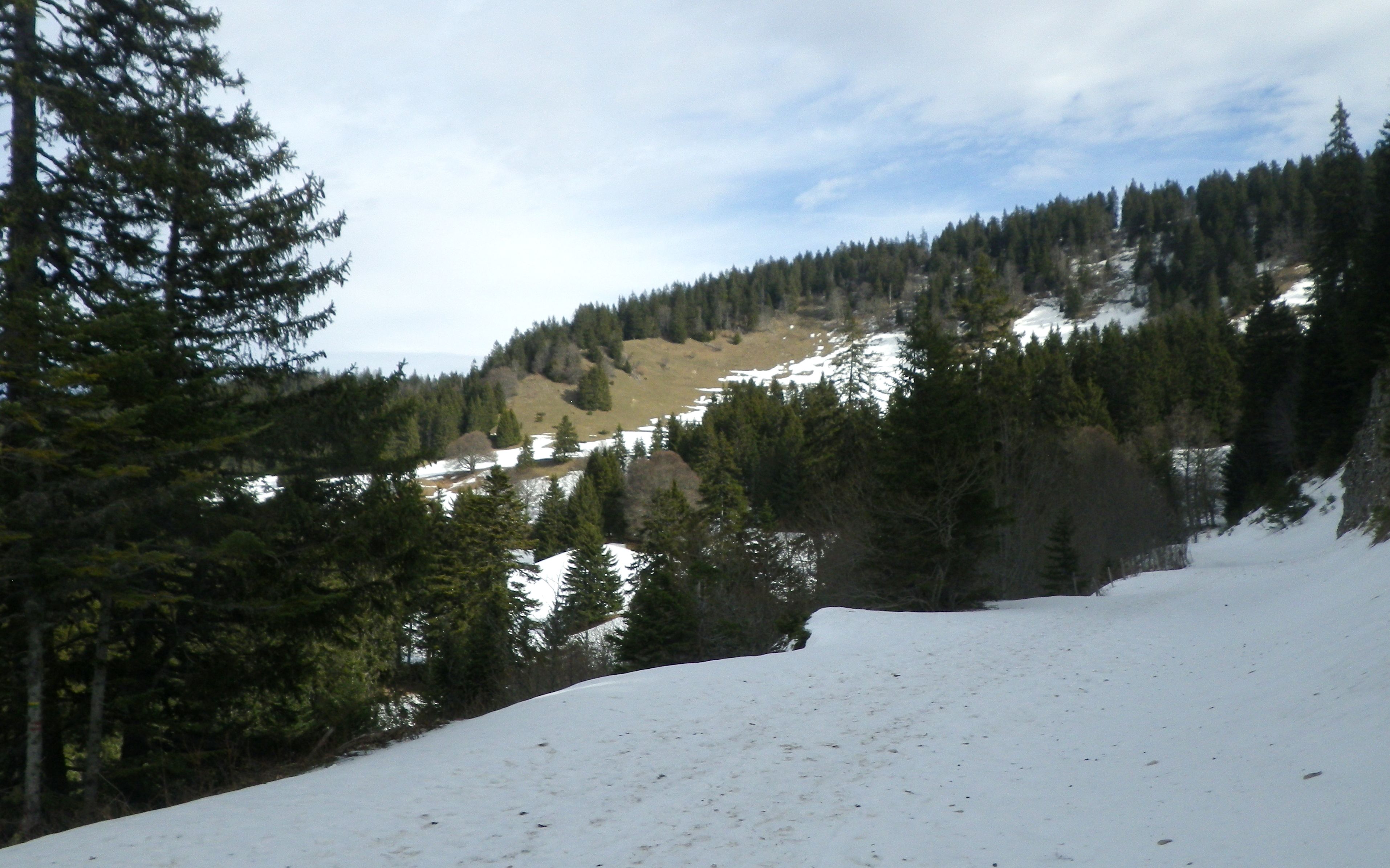moliere_004w.JPG