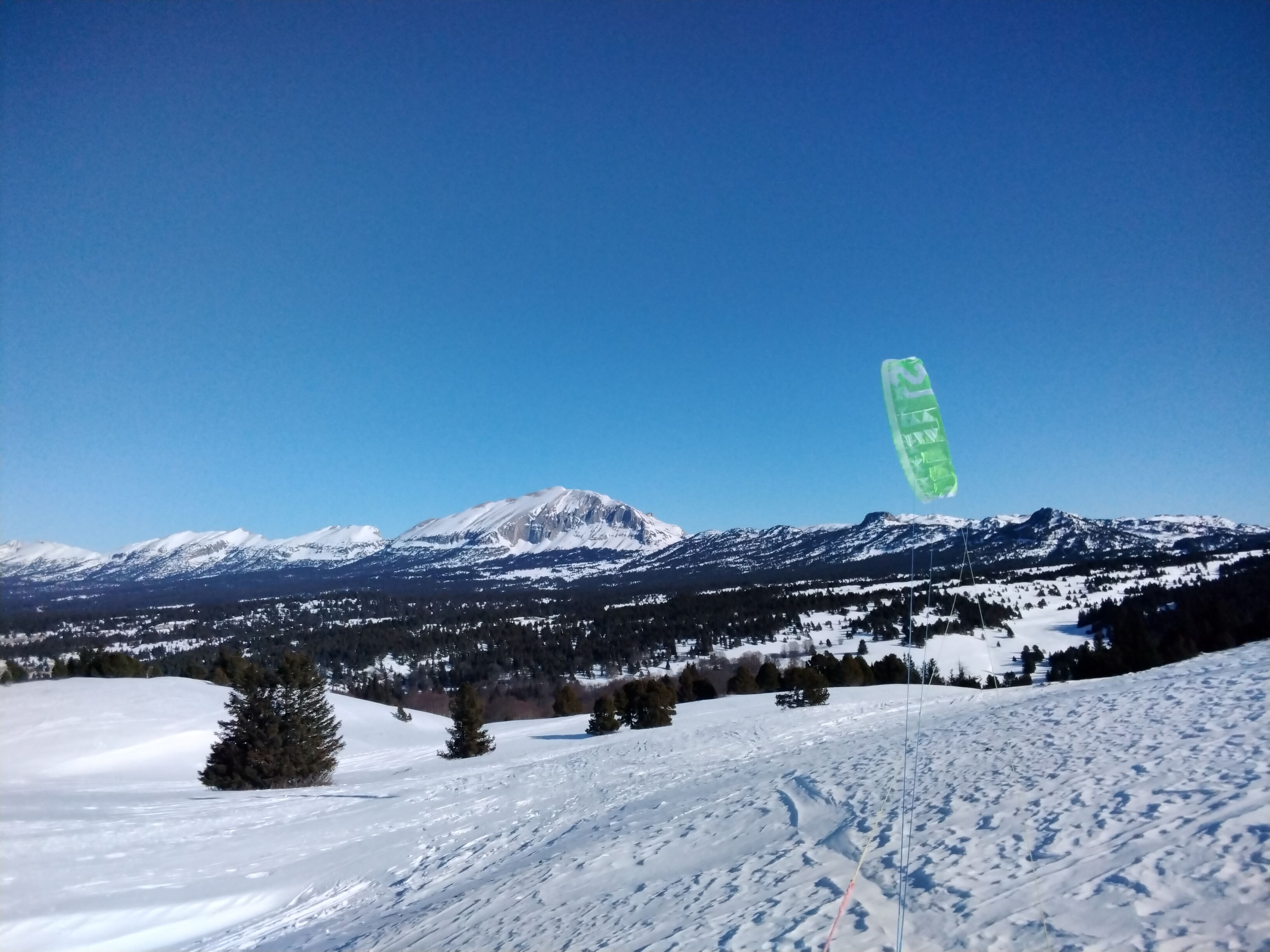 IMG_20220125_125830.jpg