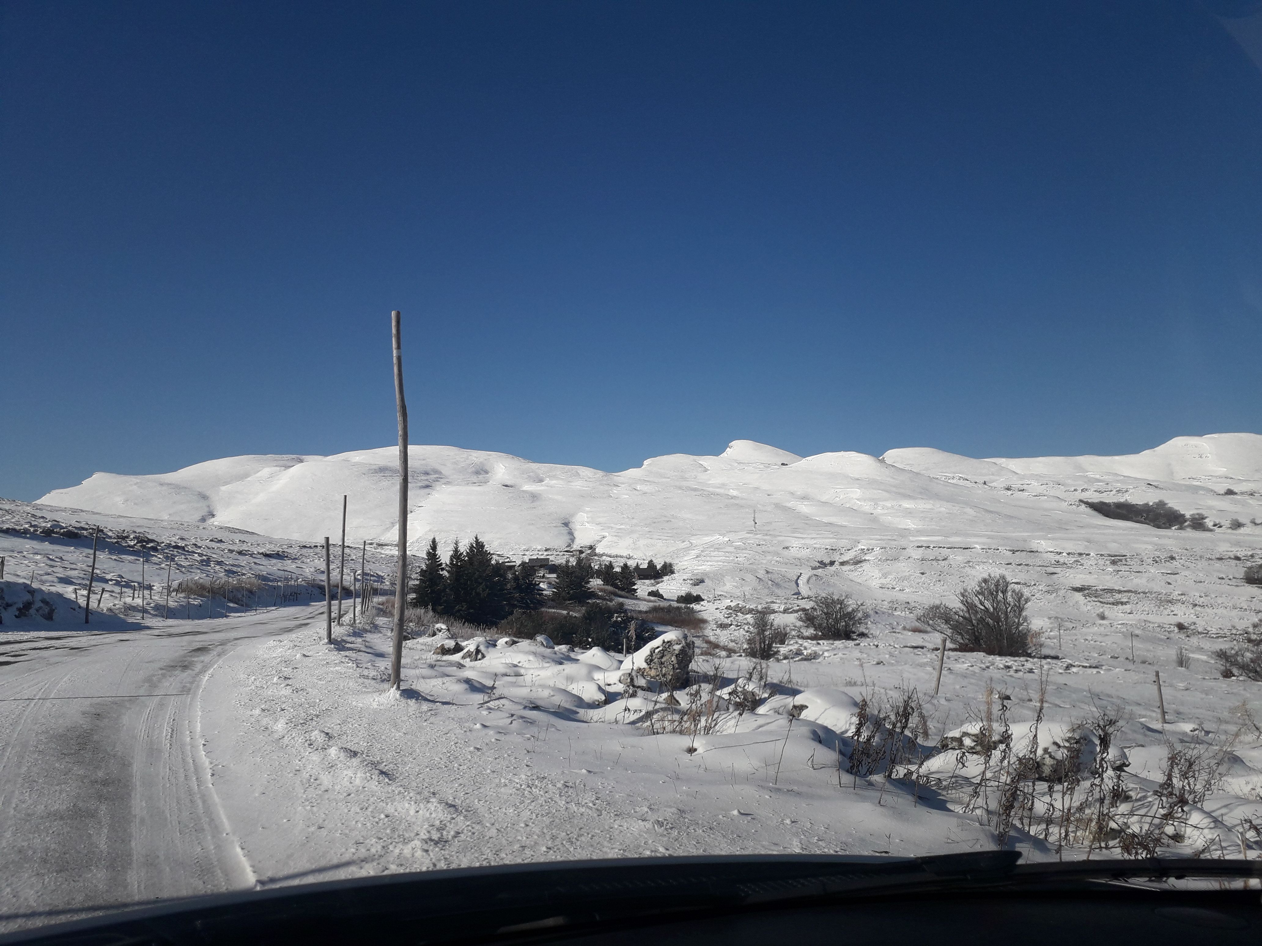 20191112_102959.jpg