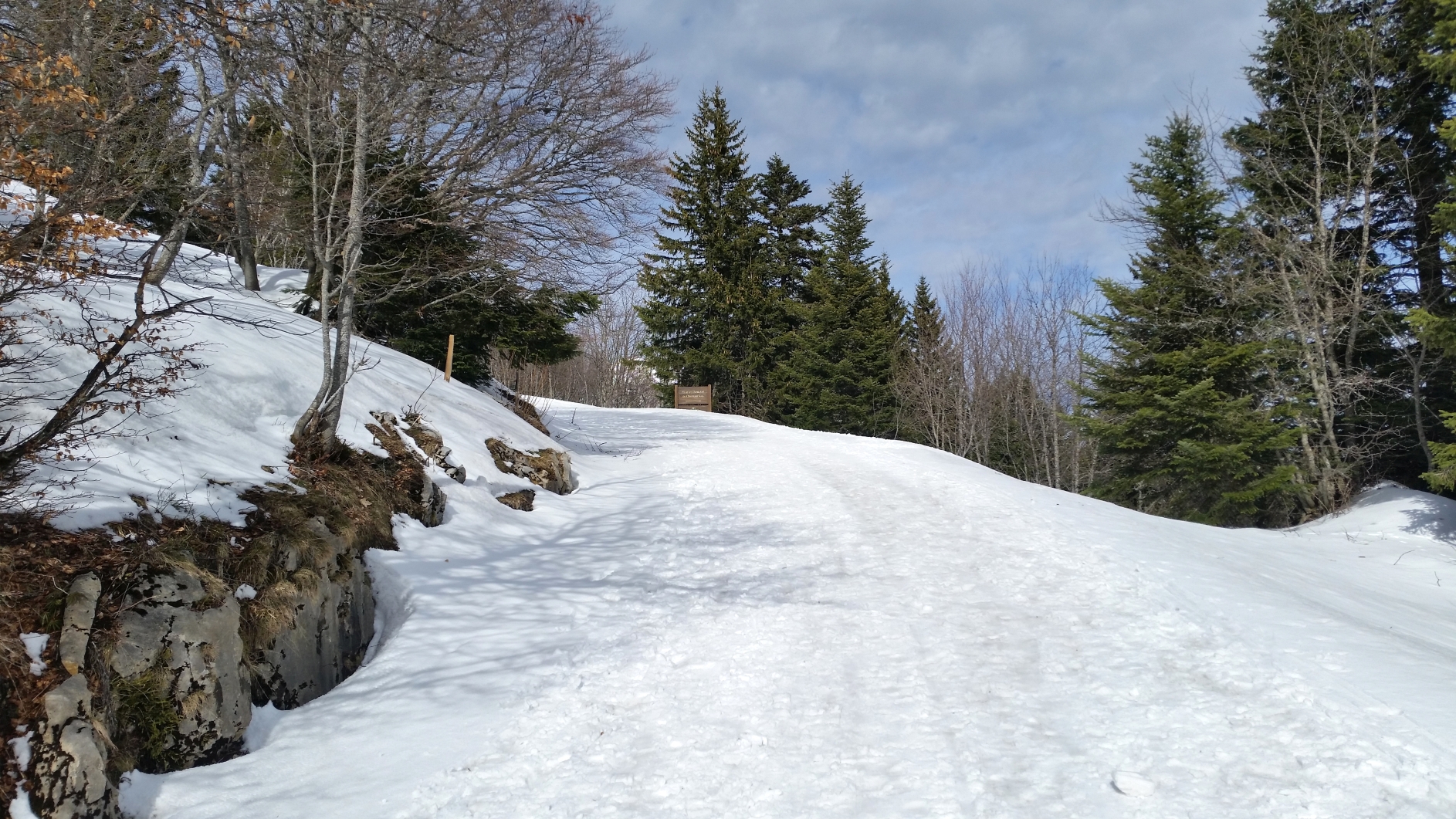 20190312_145748.jpg