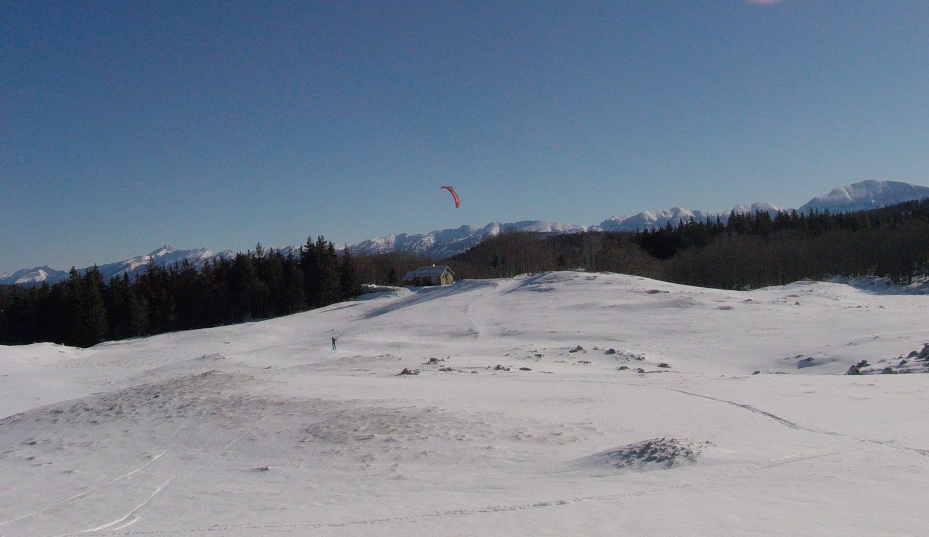 20200228_130658.jpg