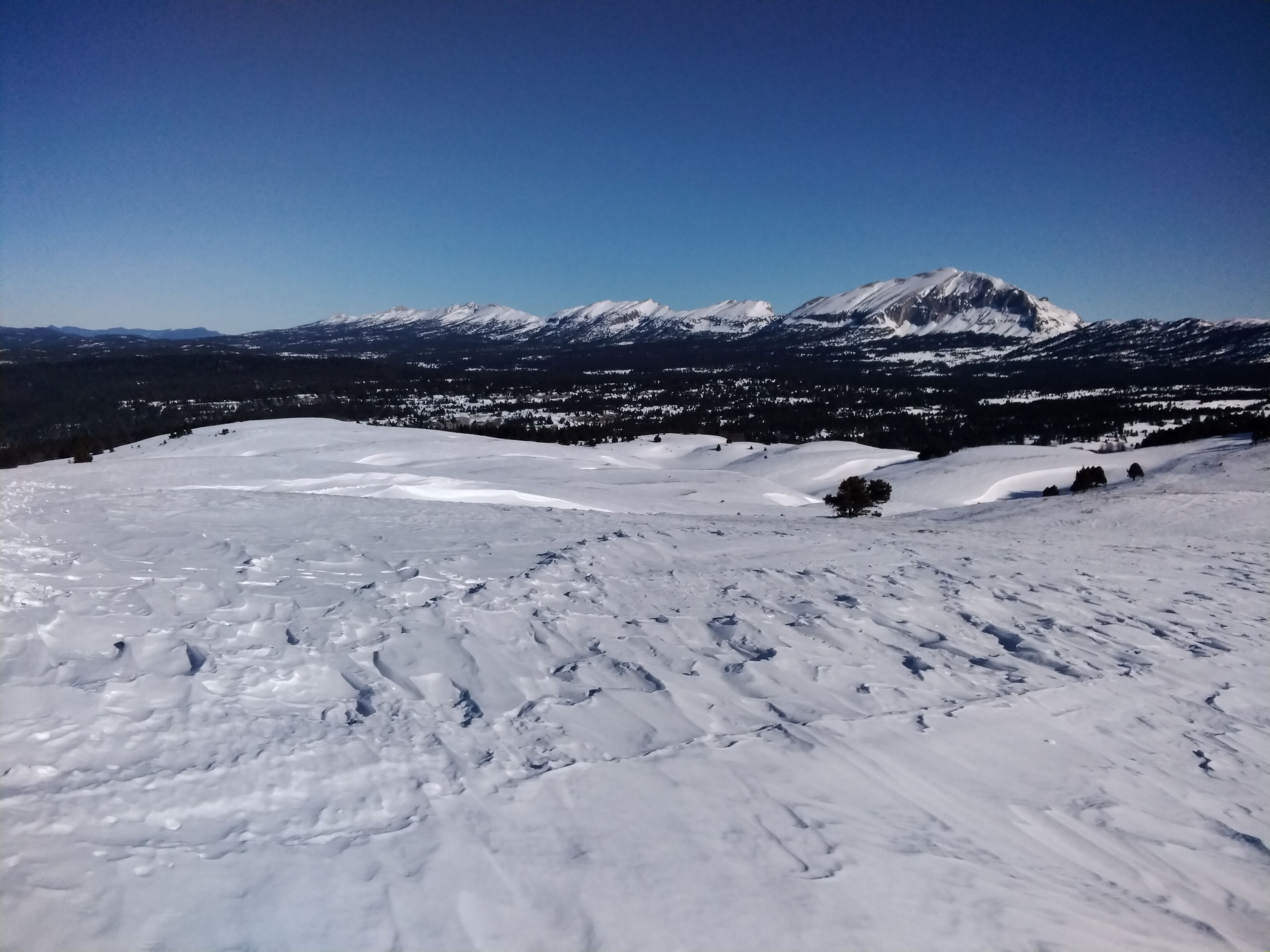 IMG_20220125_122149.jpg