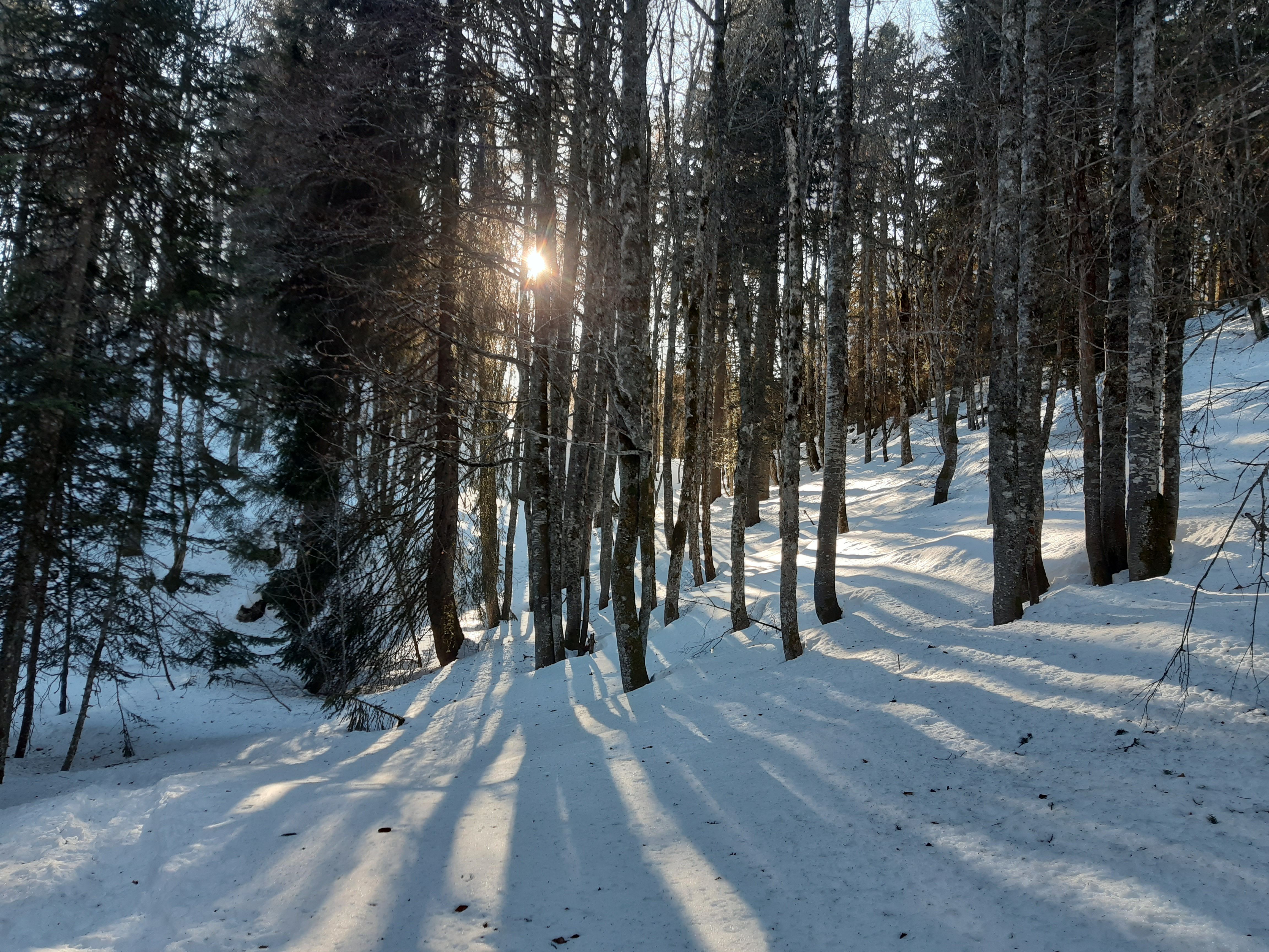 20220130_153316.jpg