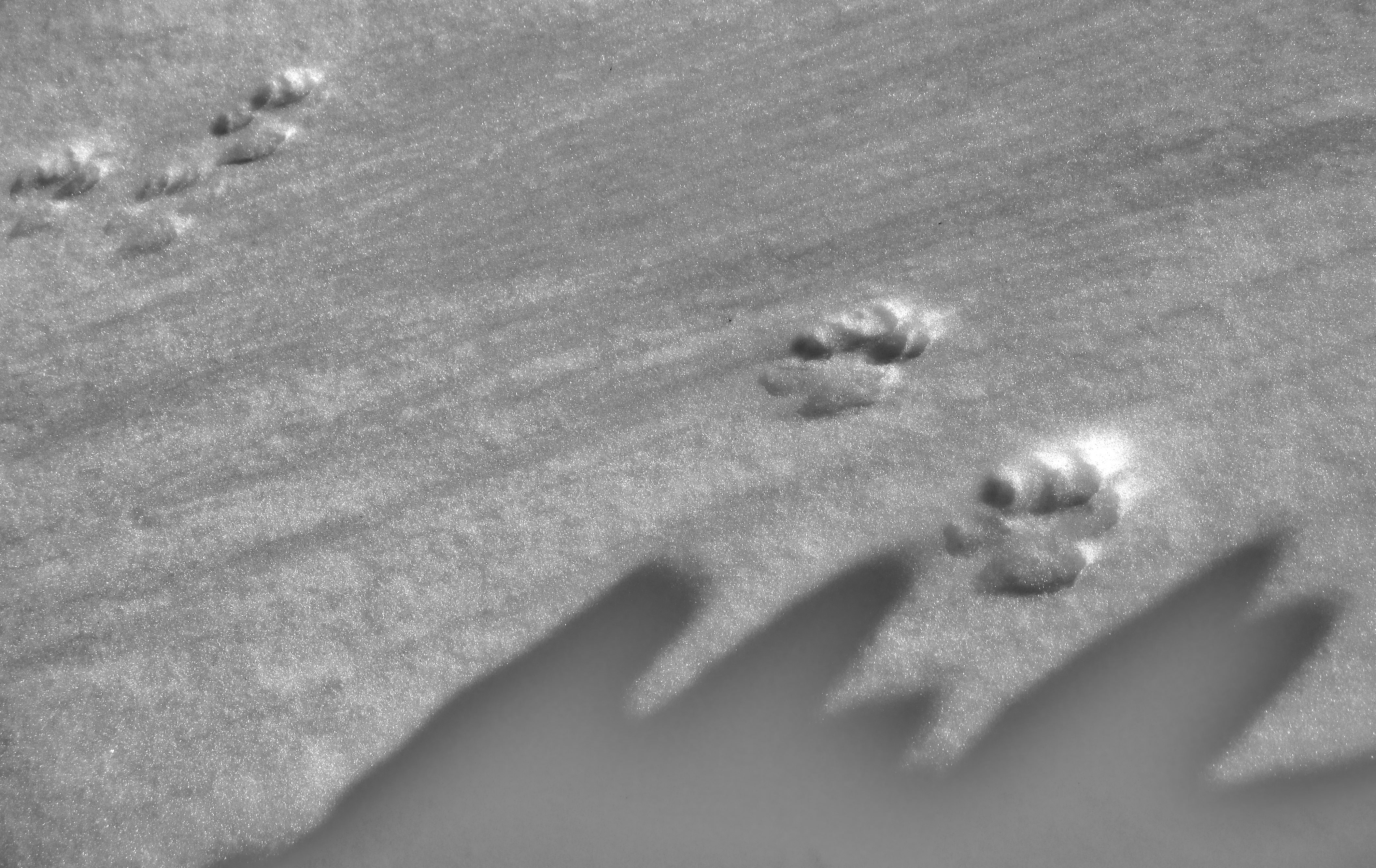 0_1511476694790_IMG_3904.JPG