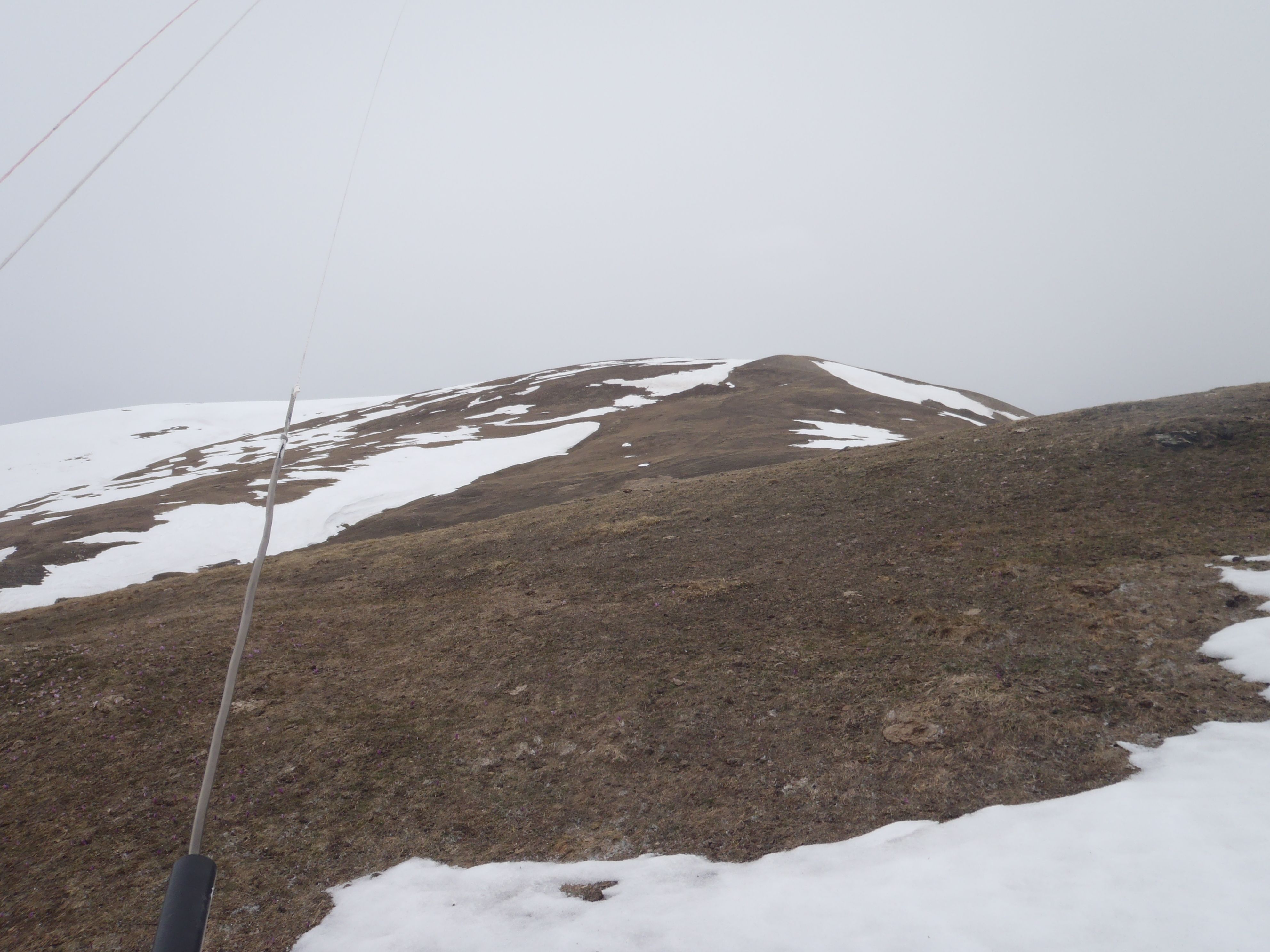 P4210136.JPG
