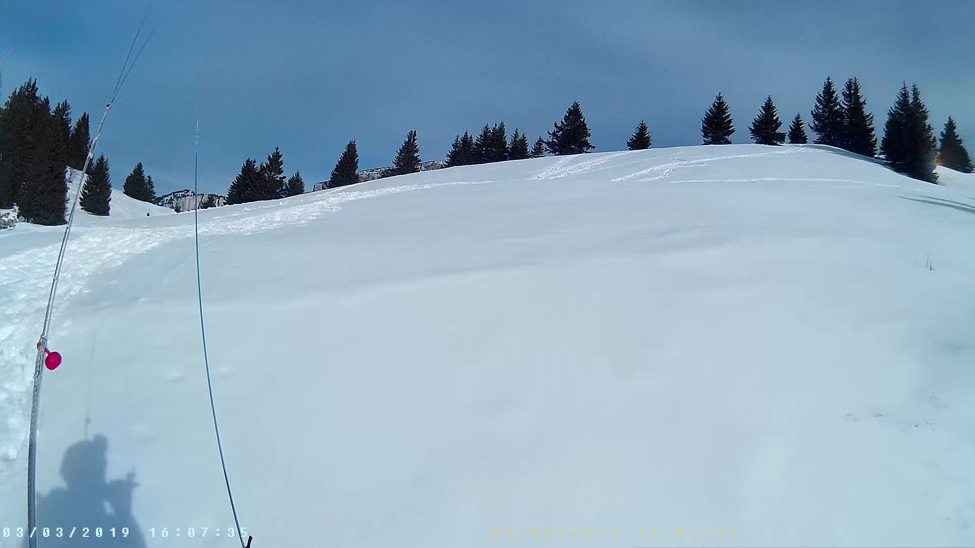 Capture9.jpg