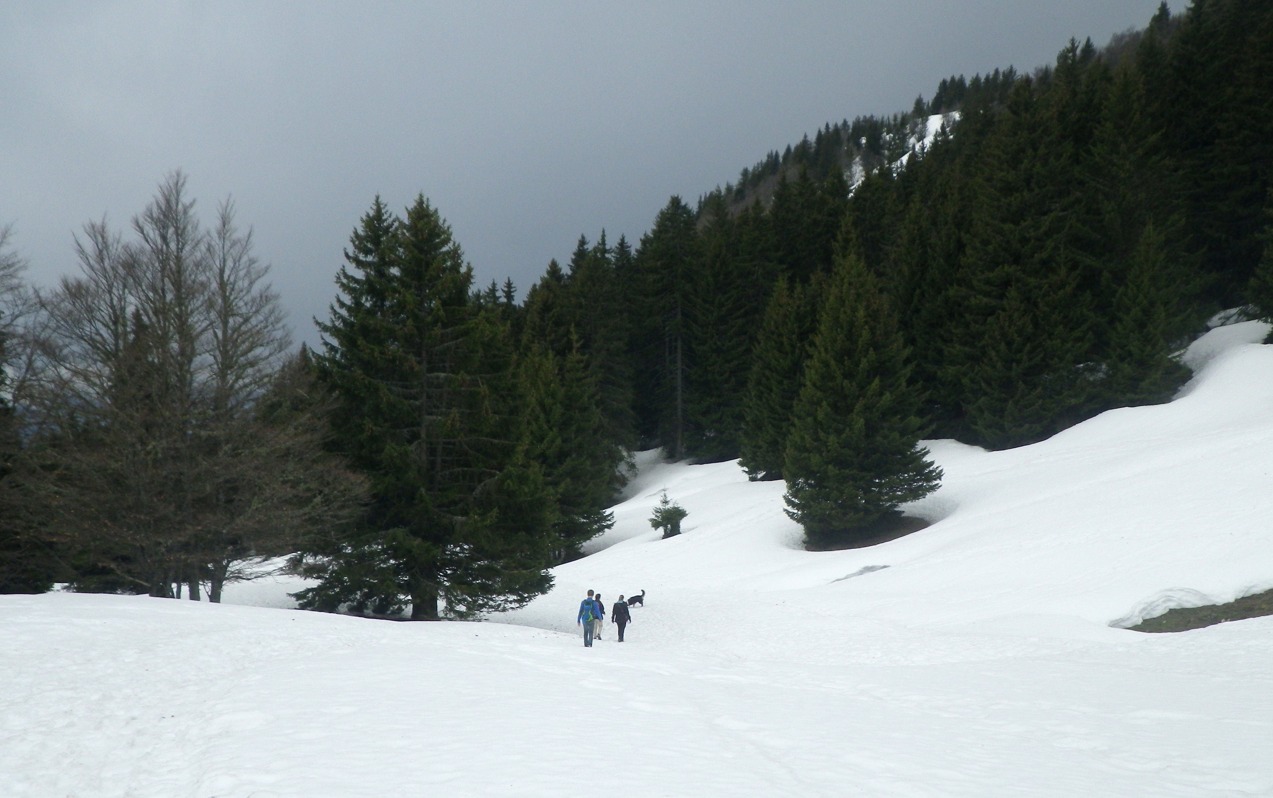 0_1523210150492_moliere_027w.JPG