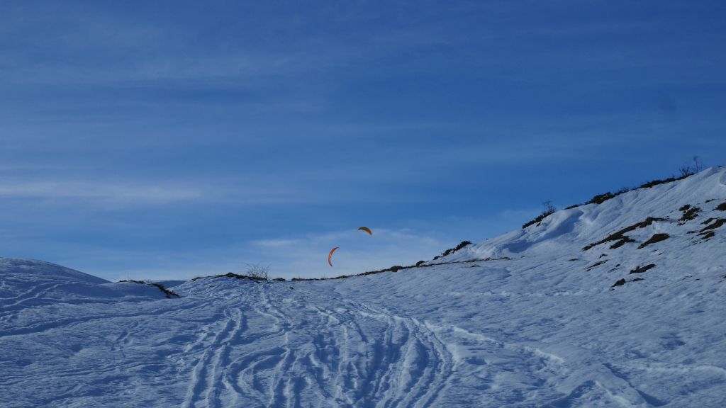P1050442.JPG