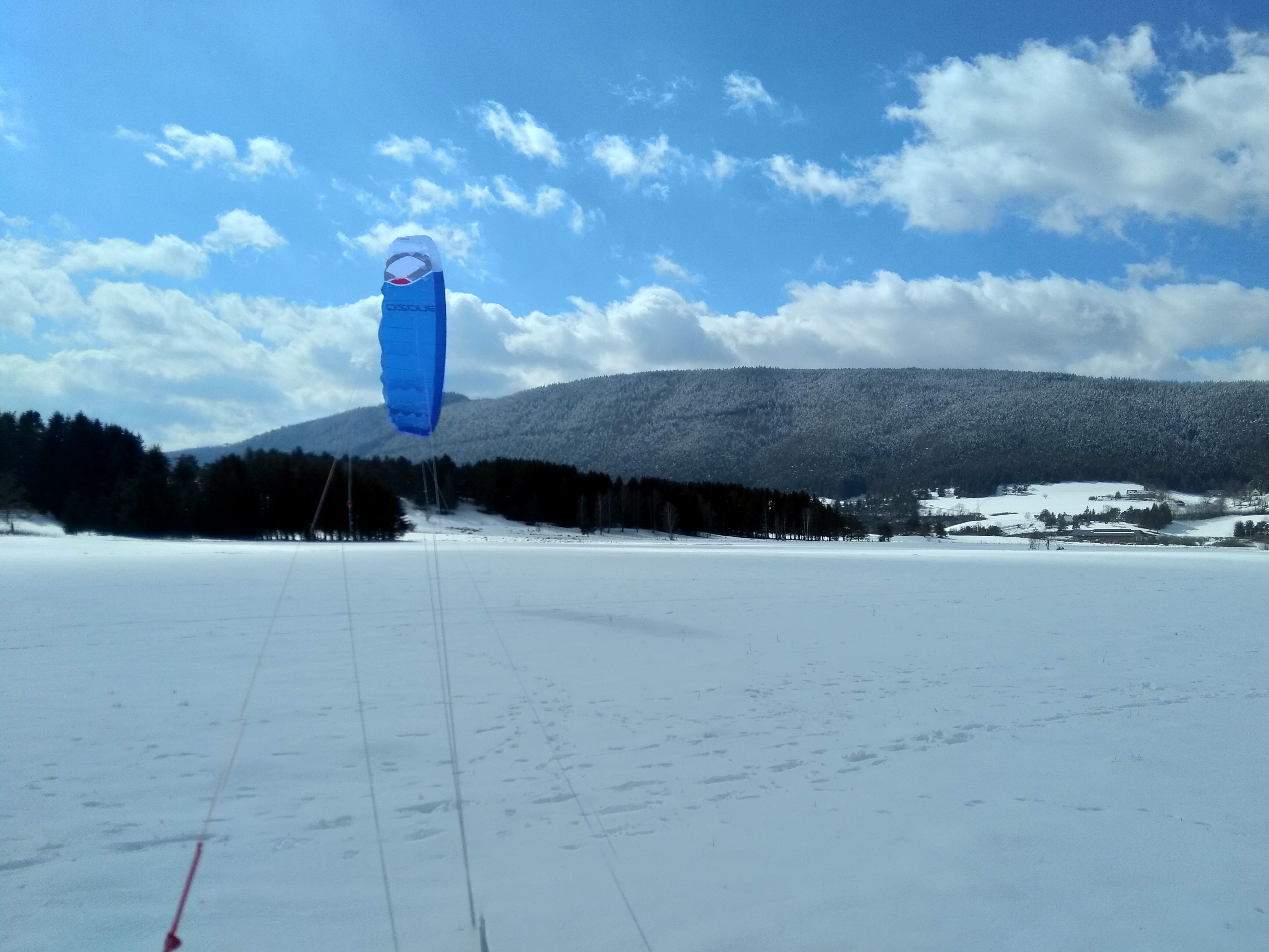 IMG_20210320_142748.jpg