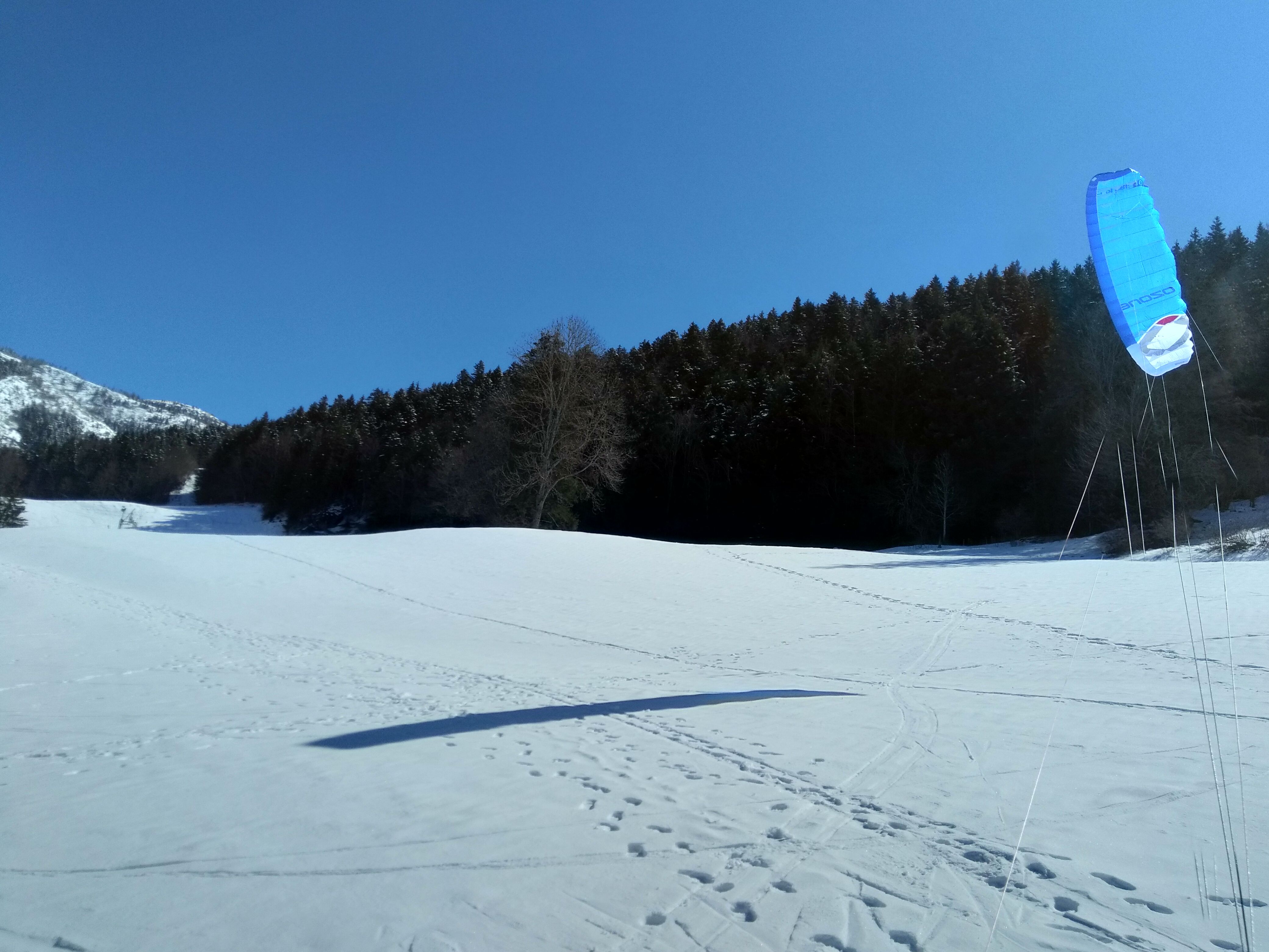IMG_20210321_115544.jpg