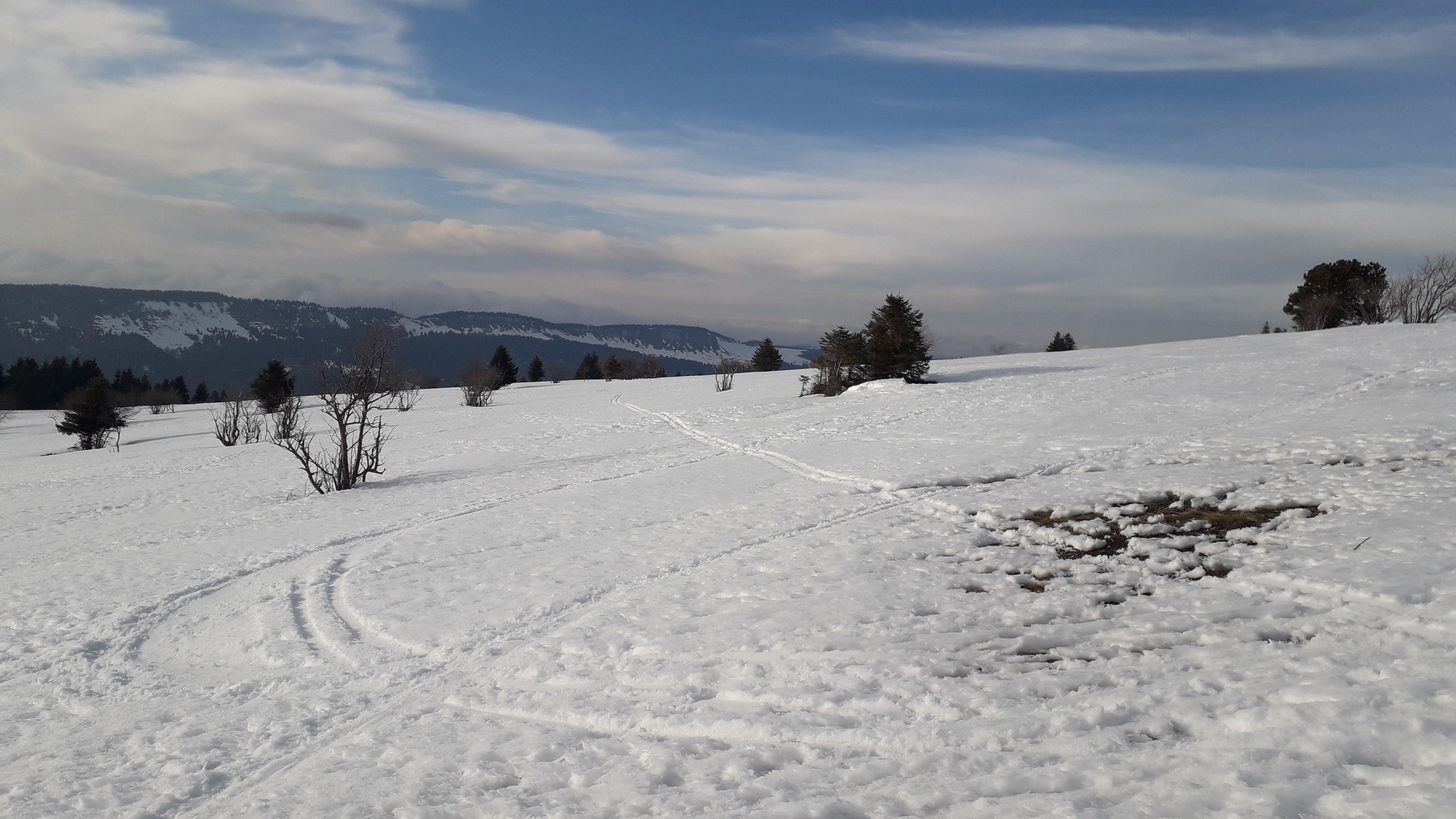 20220310_170805.jpg