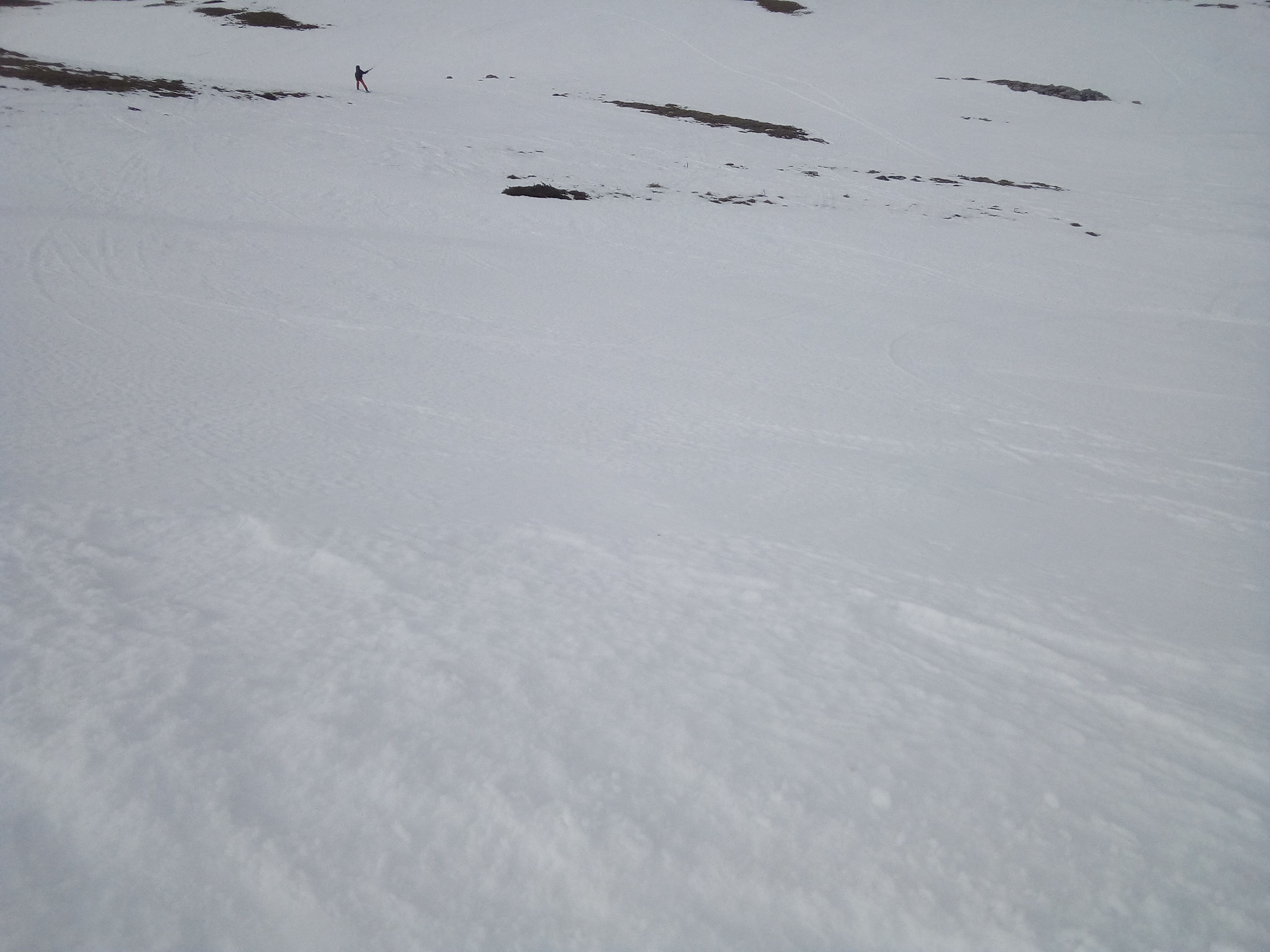 IMG_20210205_145630[1].jpg